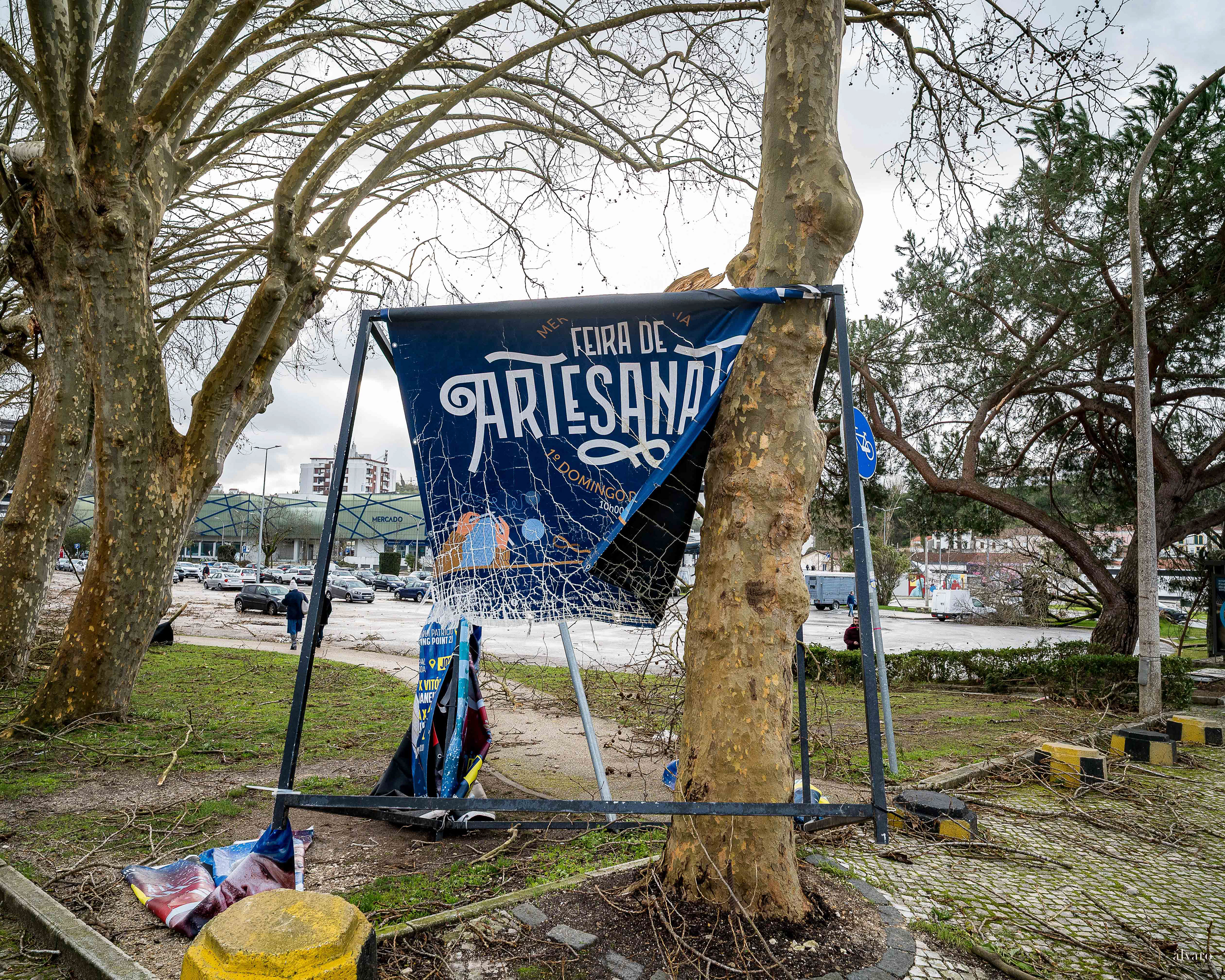 Dia 1 primeiras horas