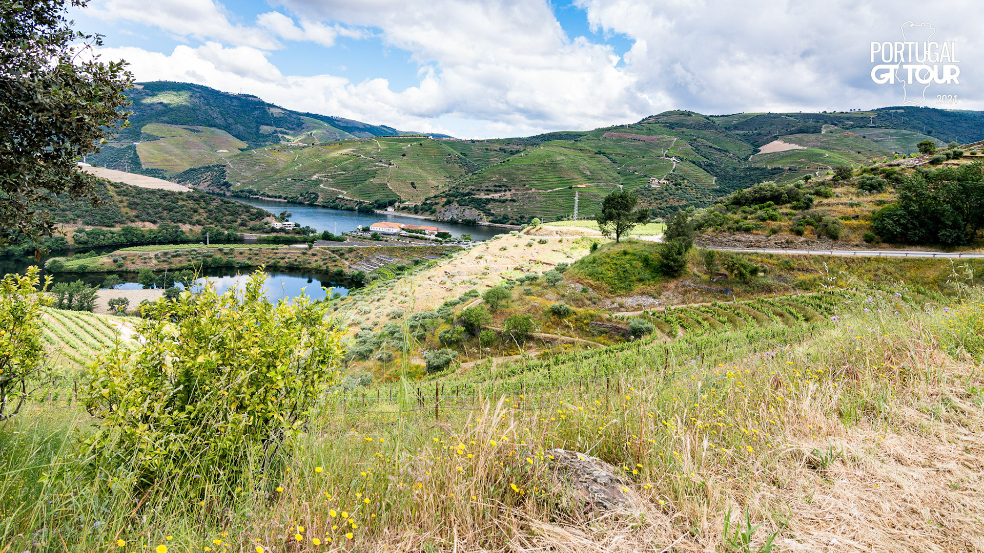 © Copyright uso não autorizado