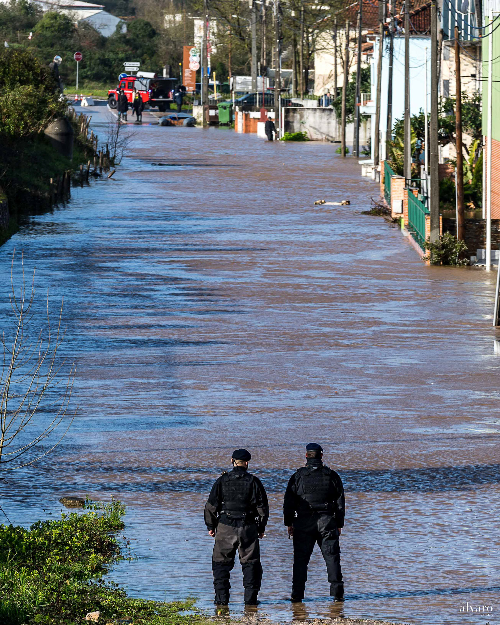 Depressão Leonardo dia 2