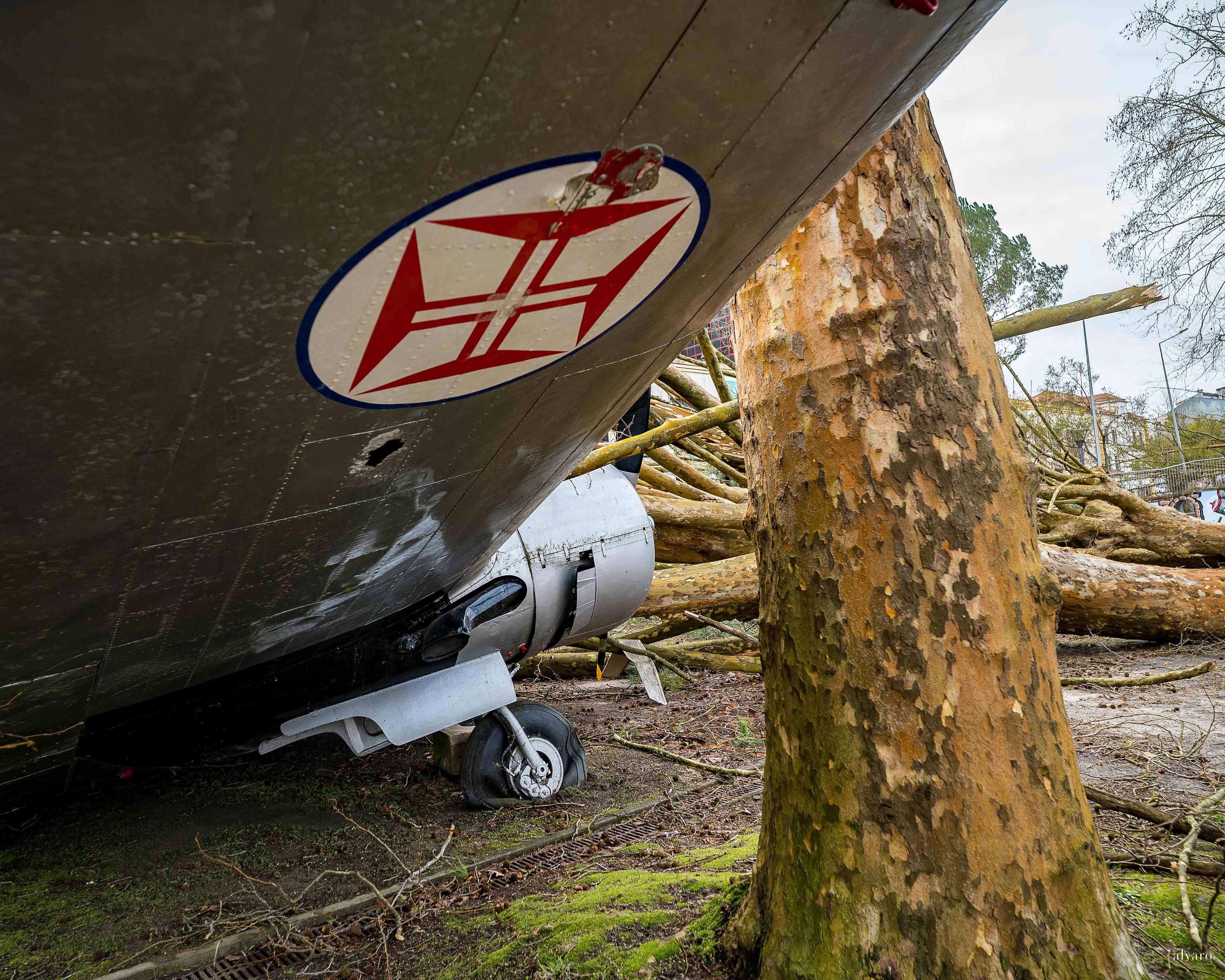 Dia 1 primeiras horas