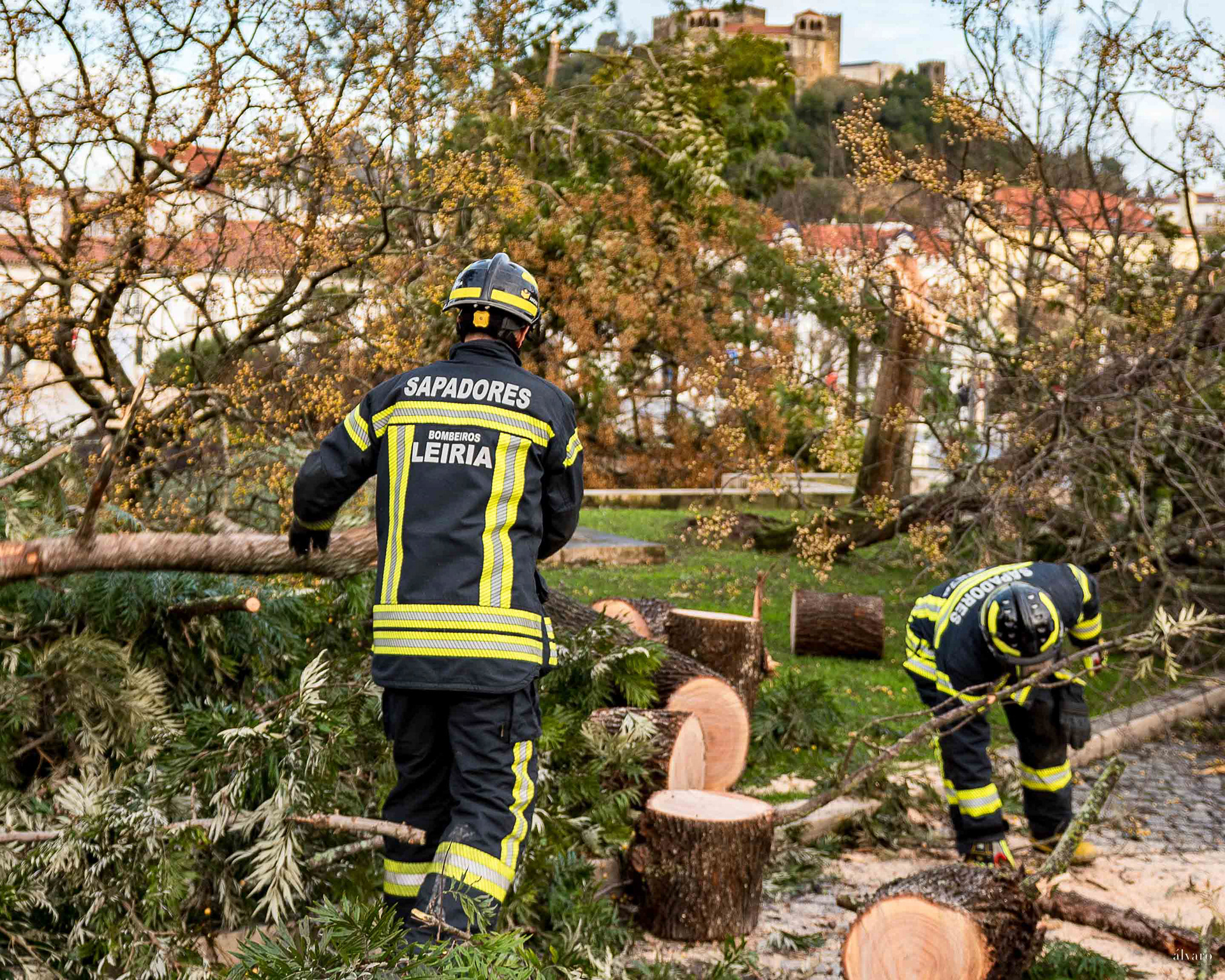 Dia 1 primeiras horas