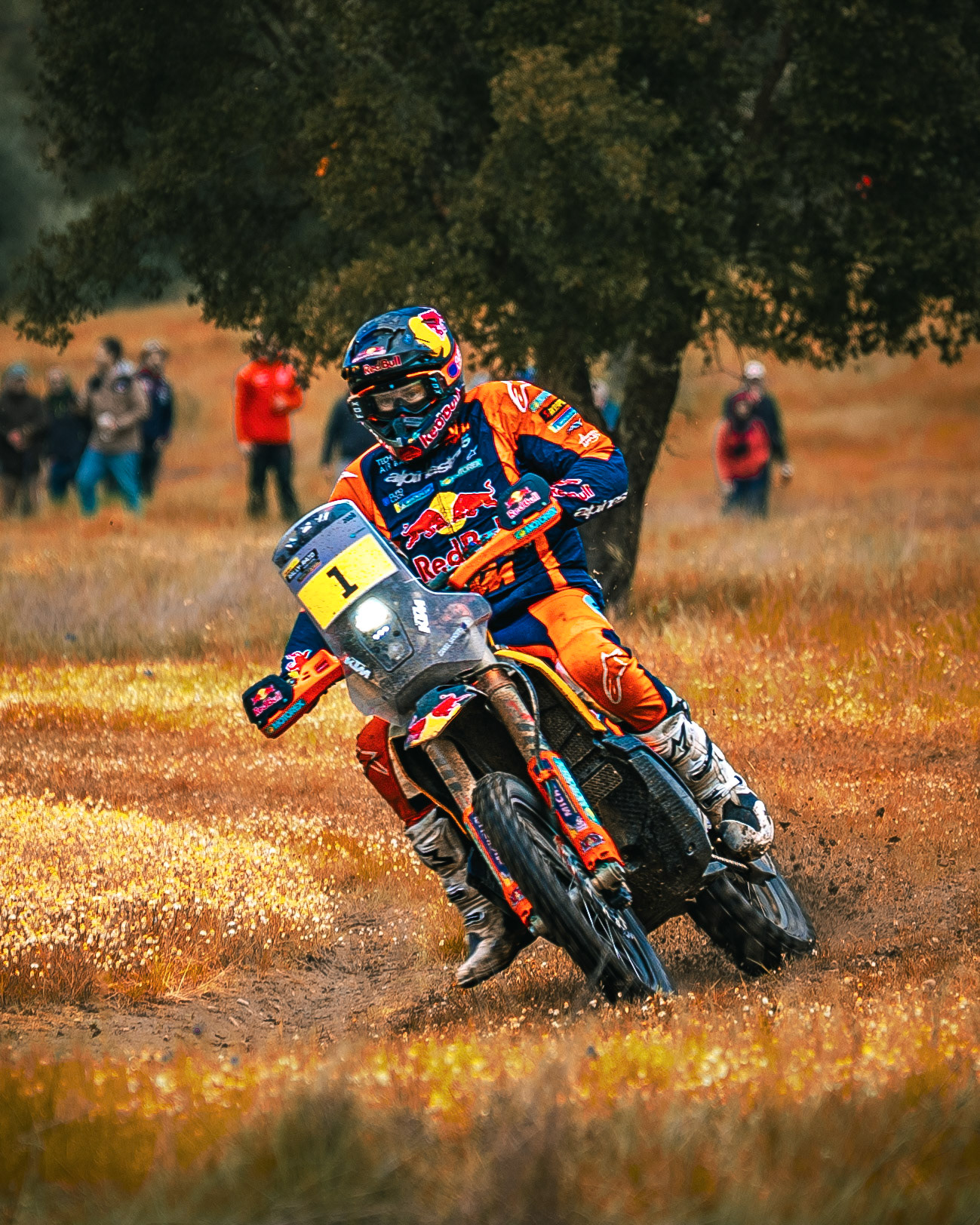 © Copyright uso não autorizado