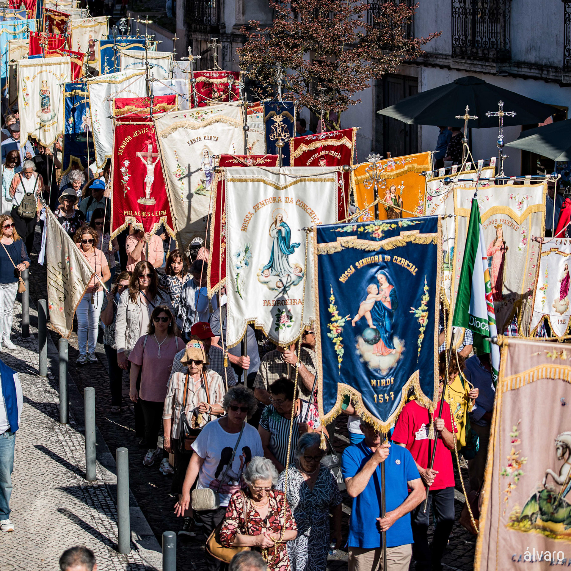 © Copyright uso não autorizado