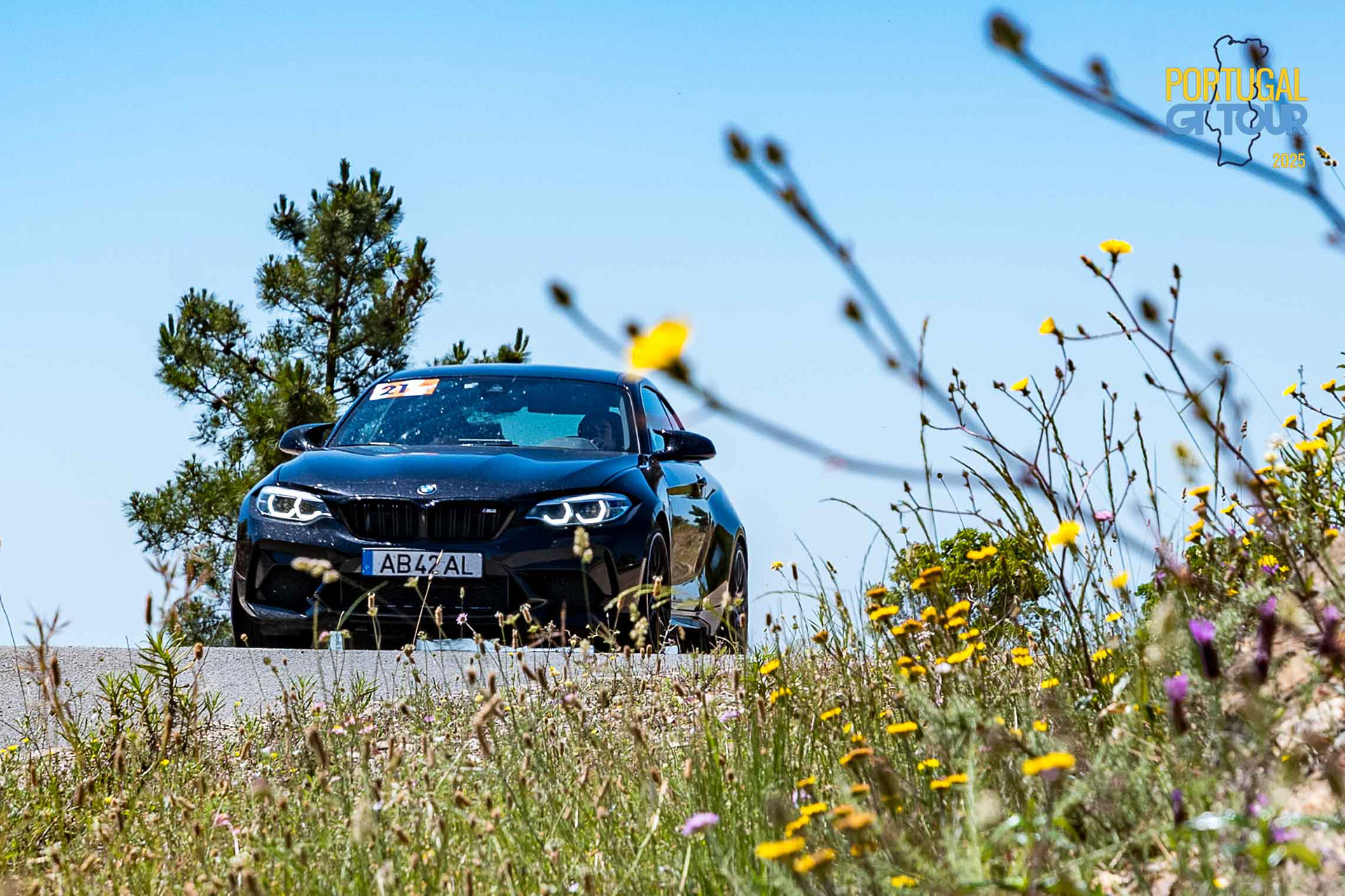 Miradouro Alto Ameixeira