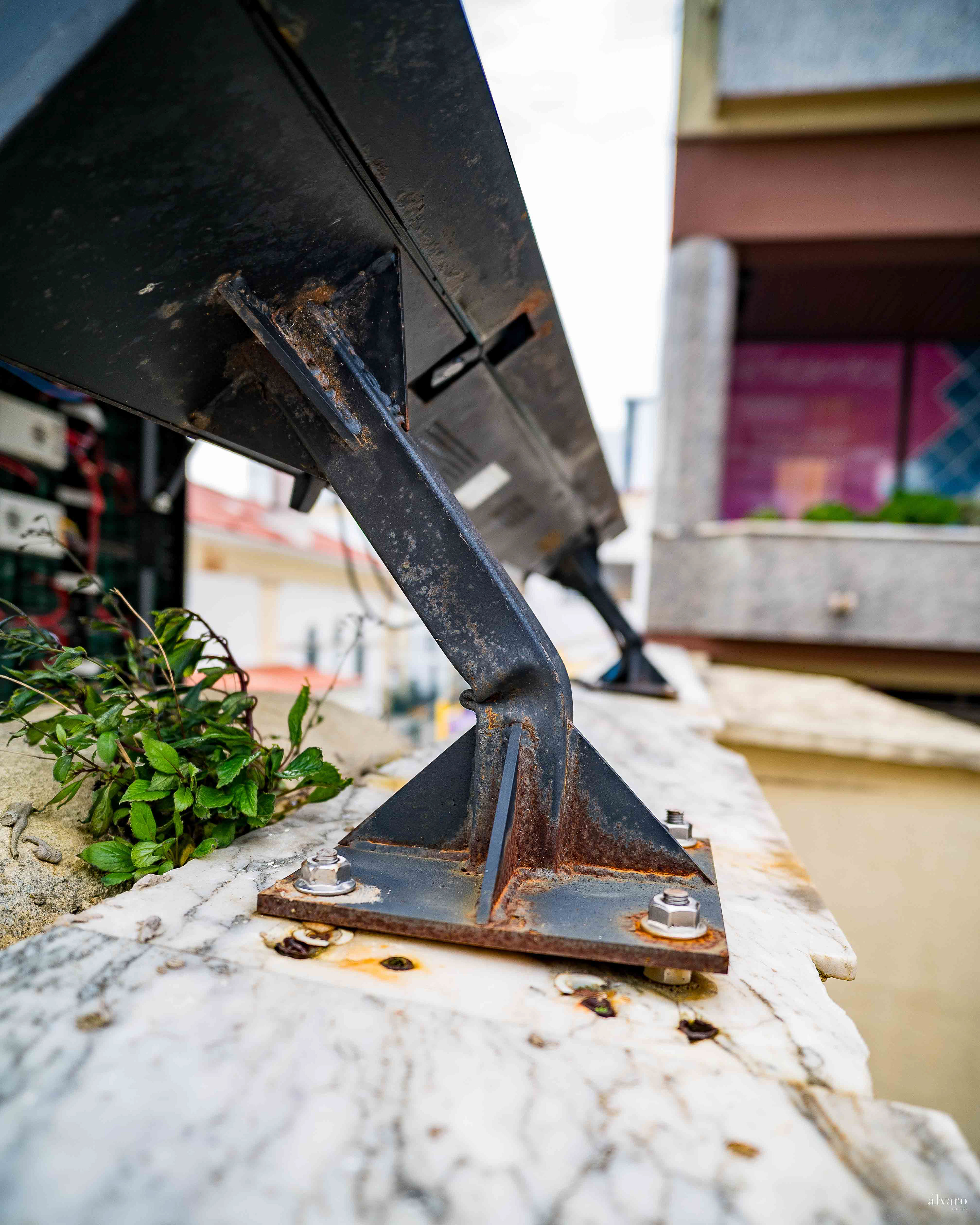 Dia 1 primeiras horas