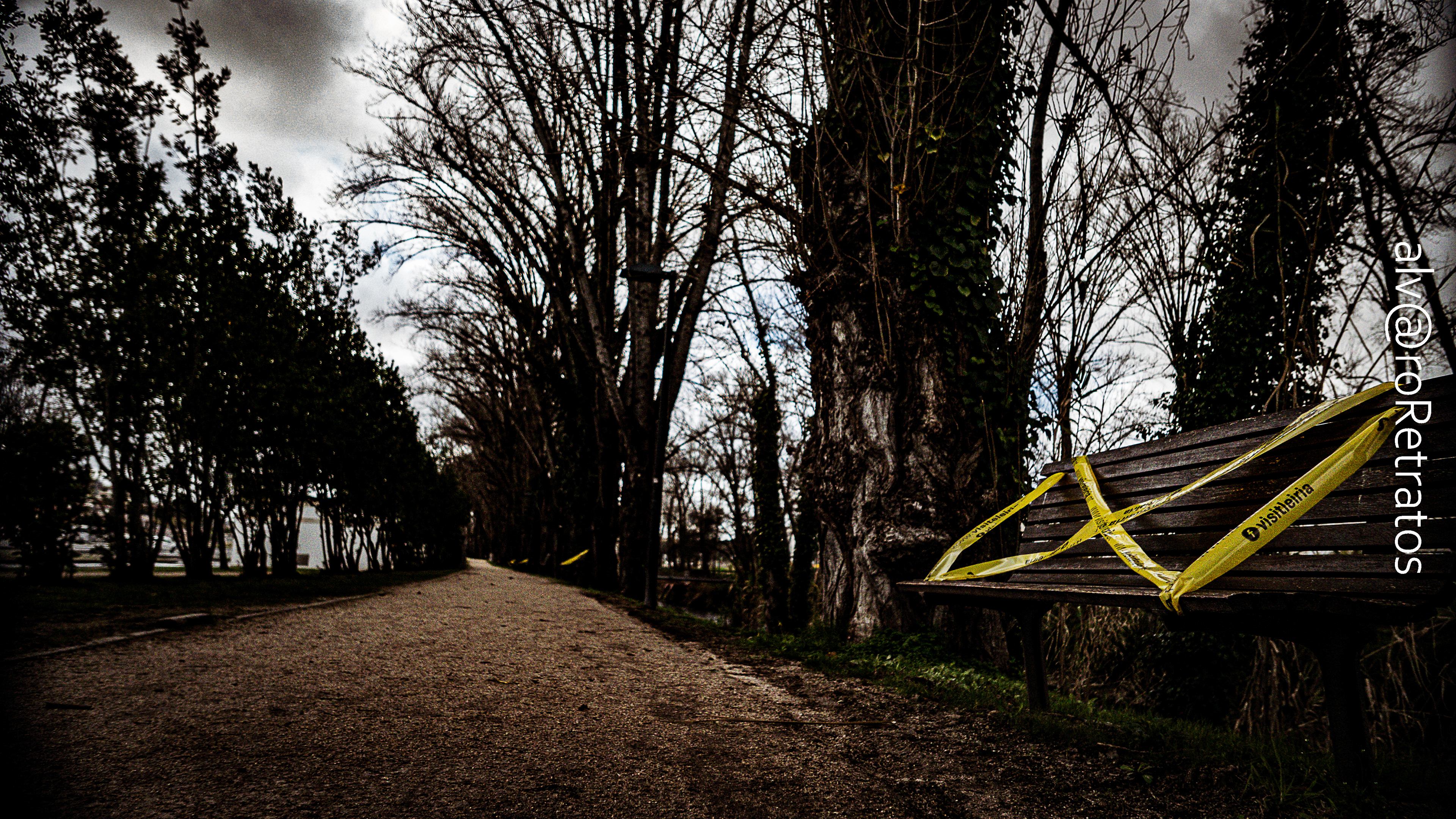 Polis - Pandemic times