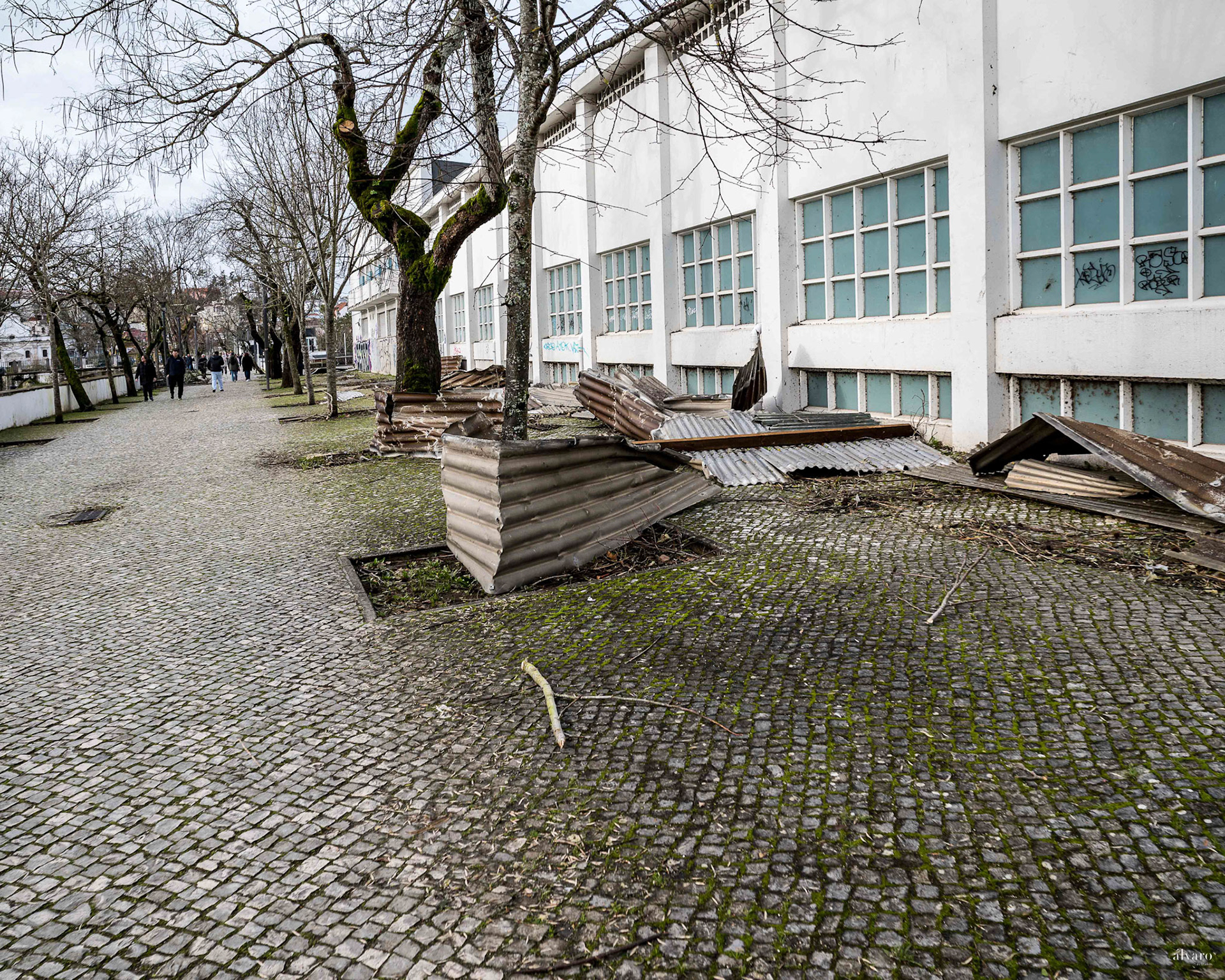 Dia 1 primeiras horas