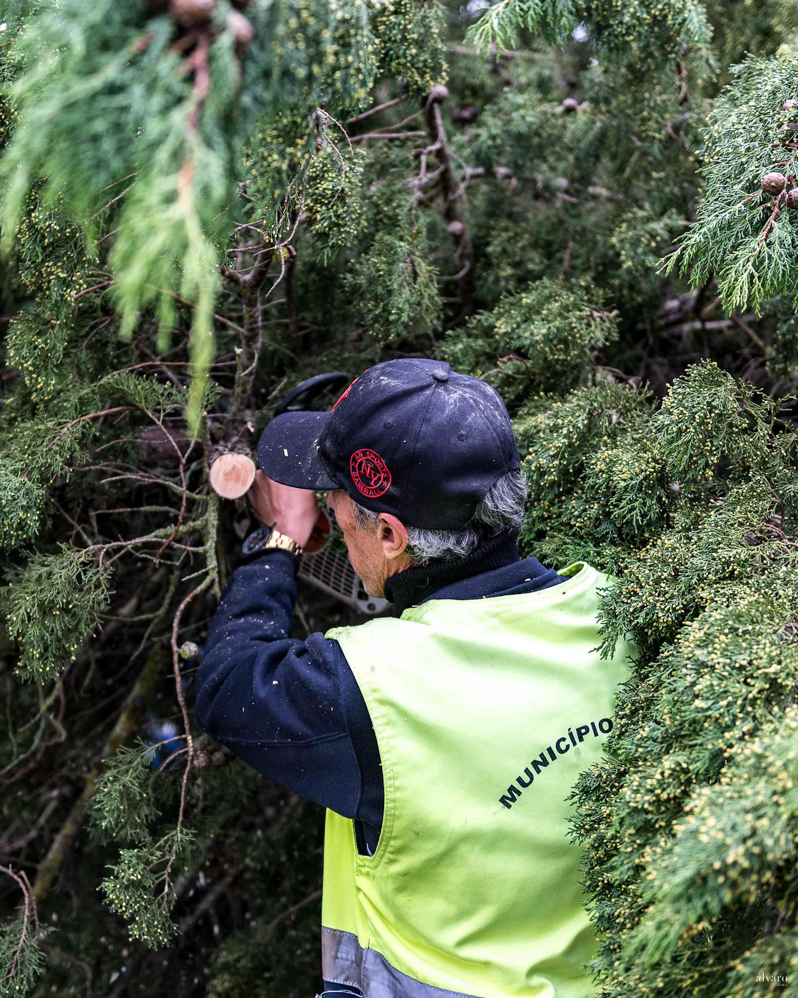 Dia 1 primeiras horas