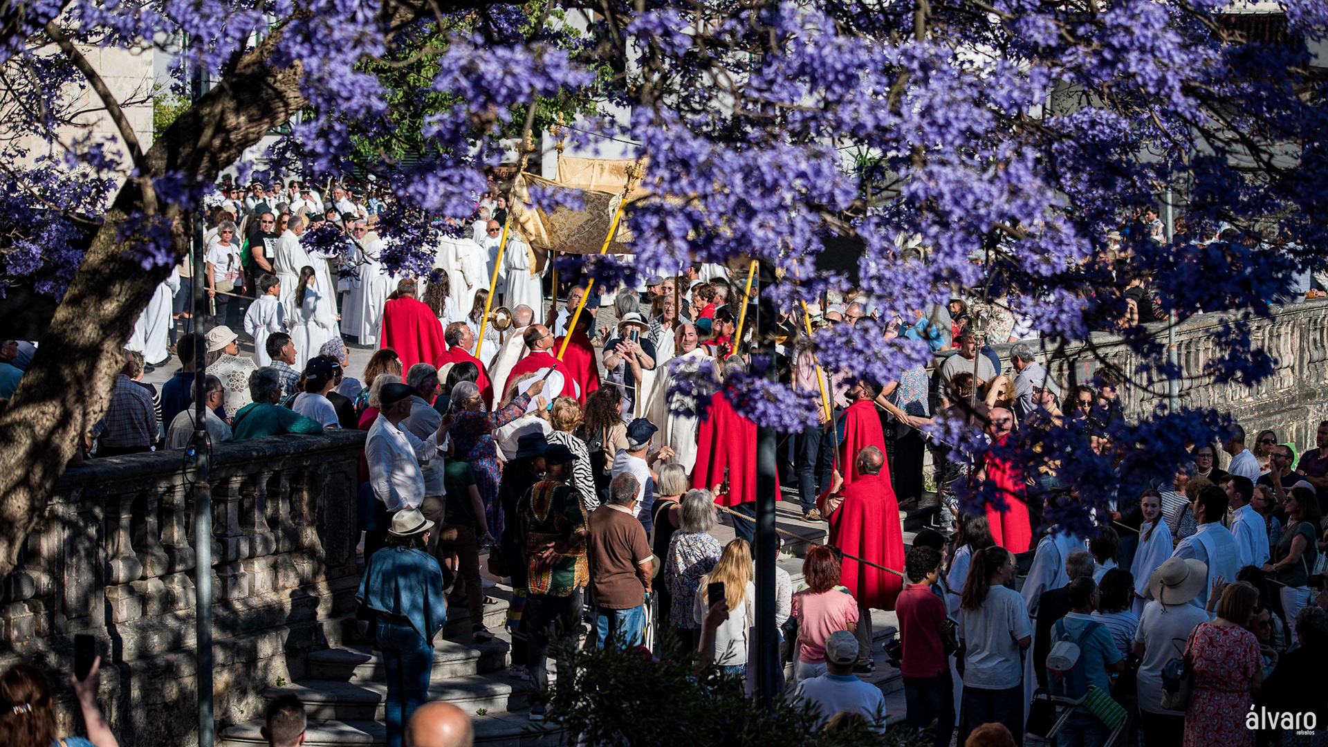 © Copyright uso não autorizado