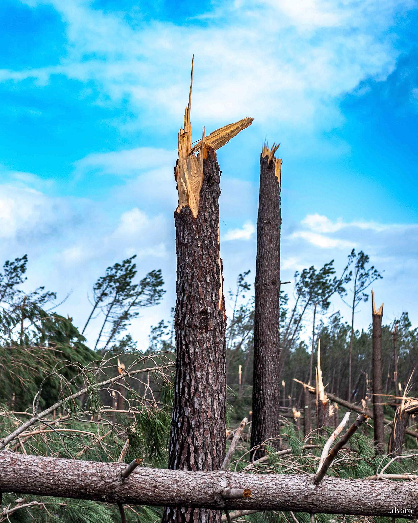 Kristin dia 6 - Marinha Grande