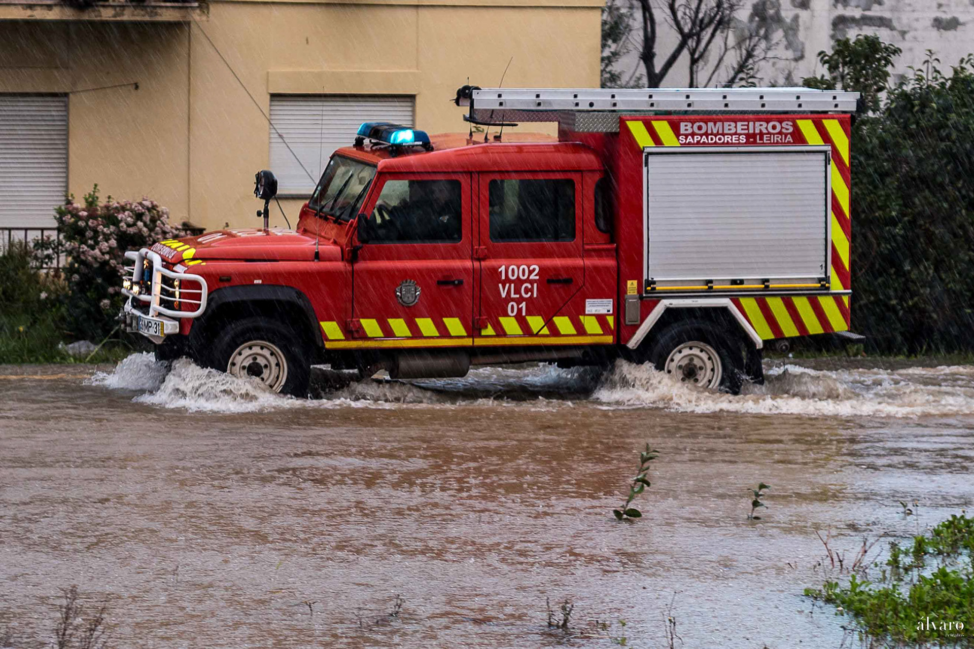 Depressão Leonardo dia 2