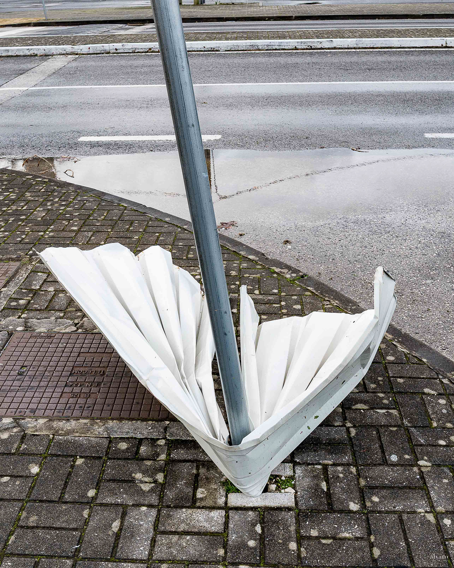 Dia 1 primeiras horas