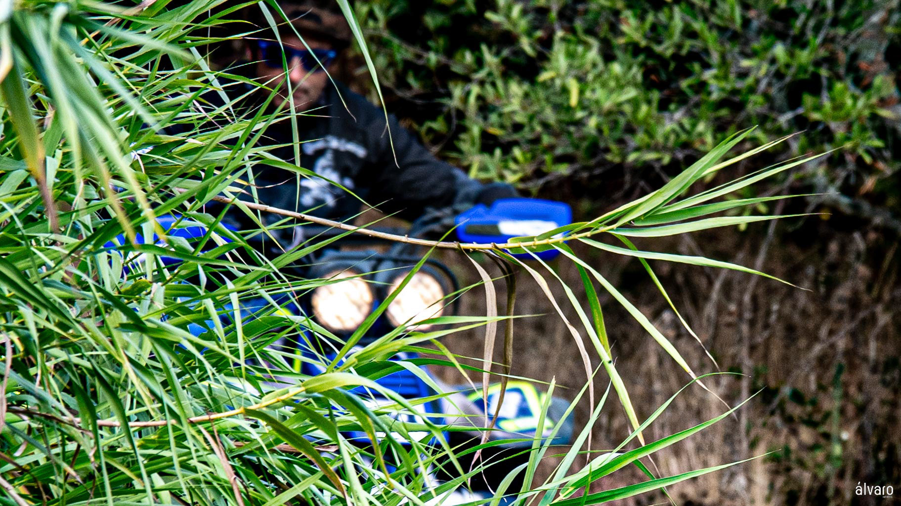 © Copyright uso não autorizado