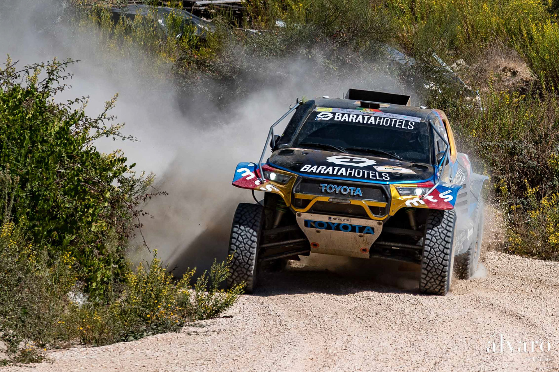 © Copyright uso não autorizado