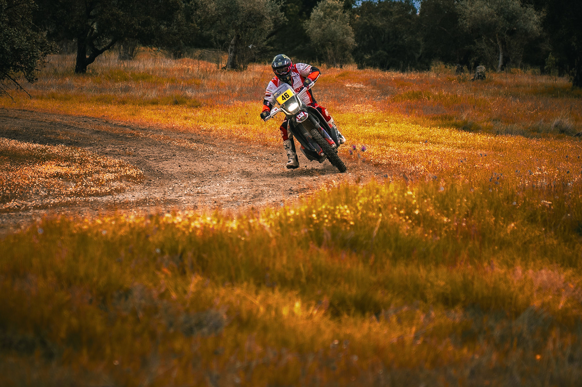 © Copyright uso não autorizado