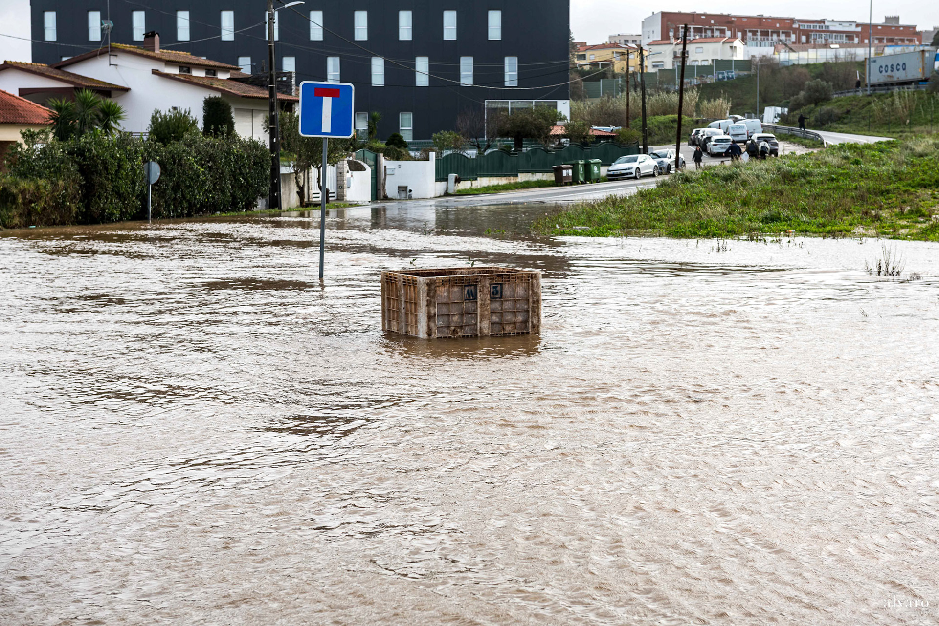 Depressão Leonardo dia 2