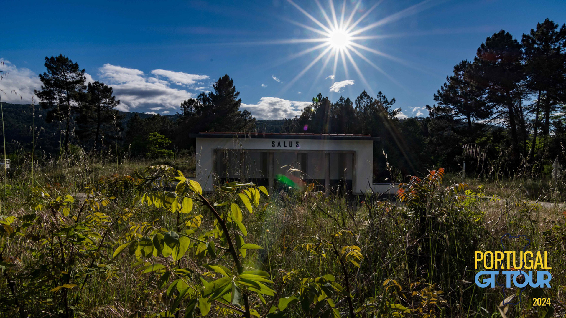 © Copyright uso não autorizado