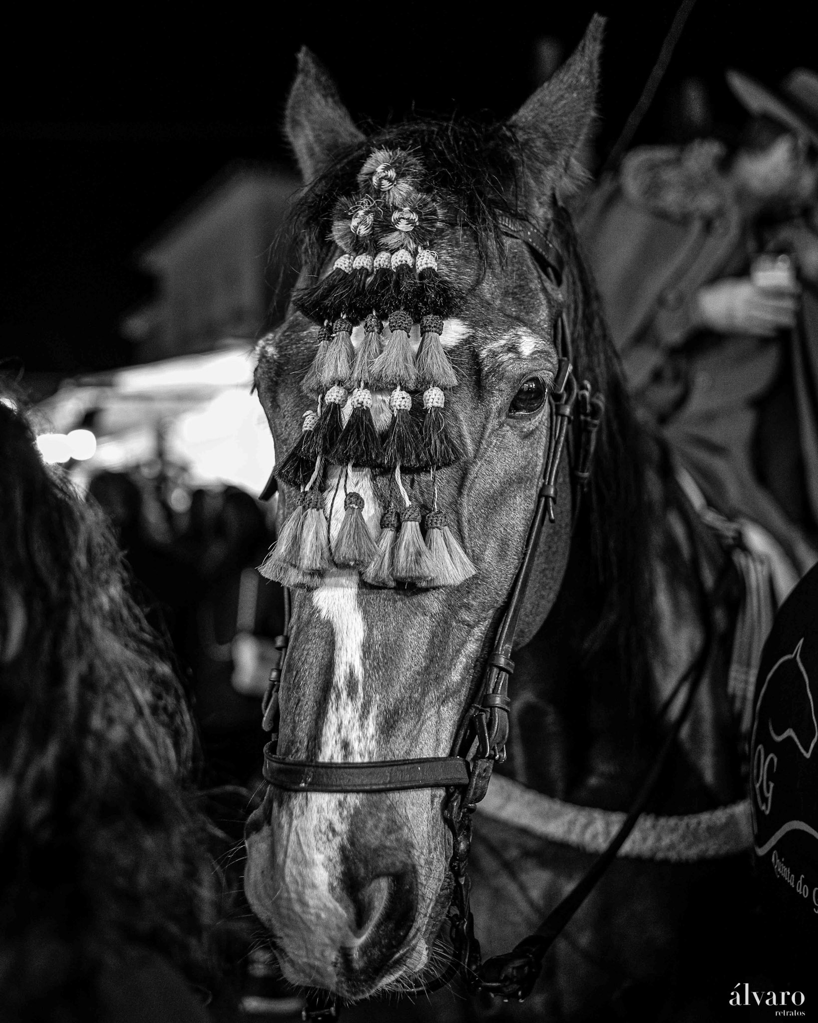 © Copyright uso não autorizado