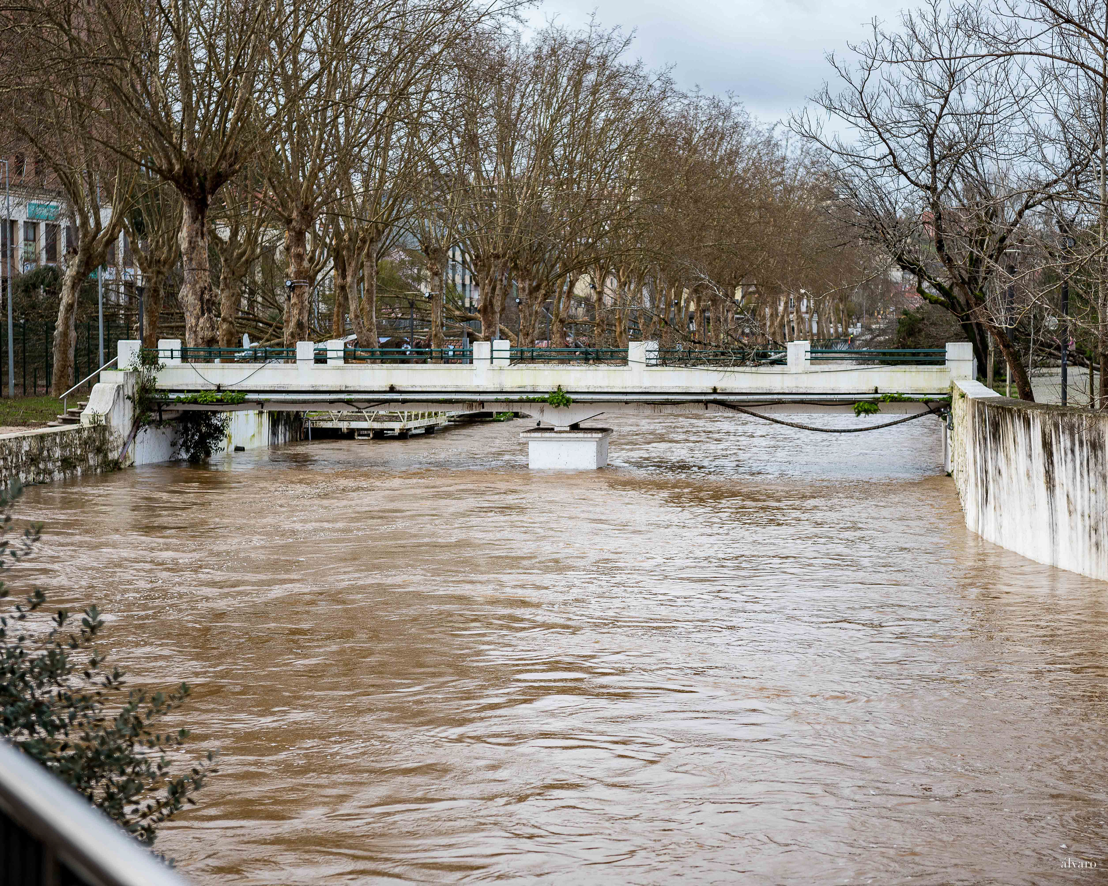 Dia 1 primeiras horas