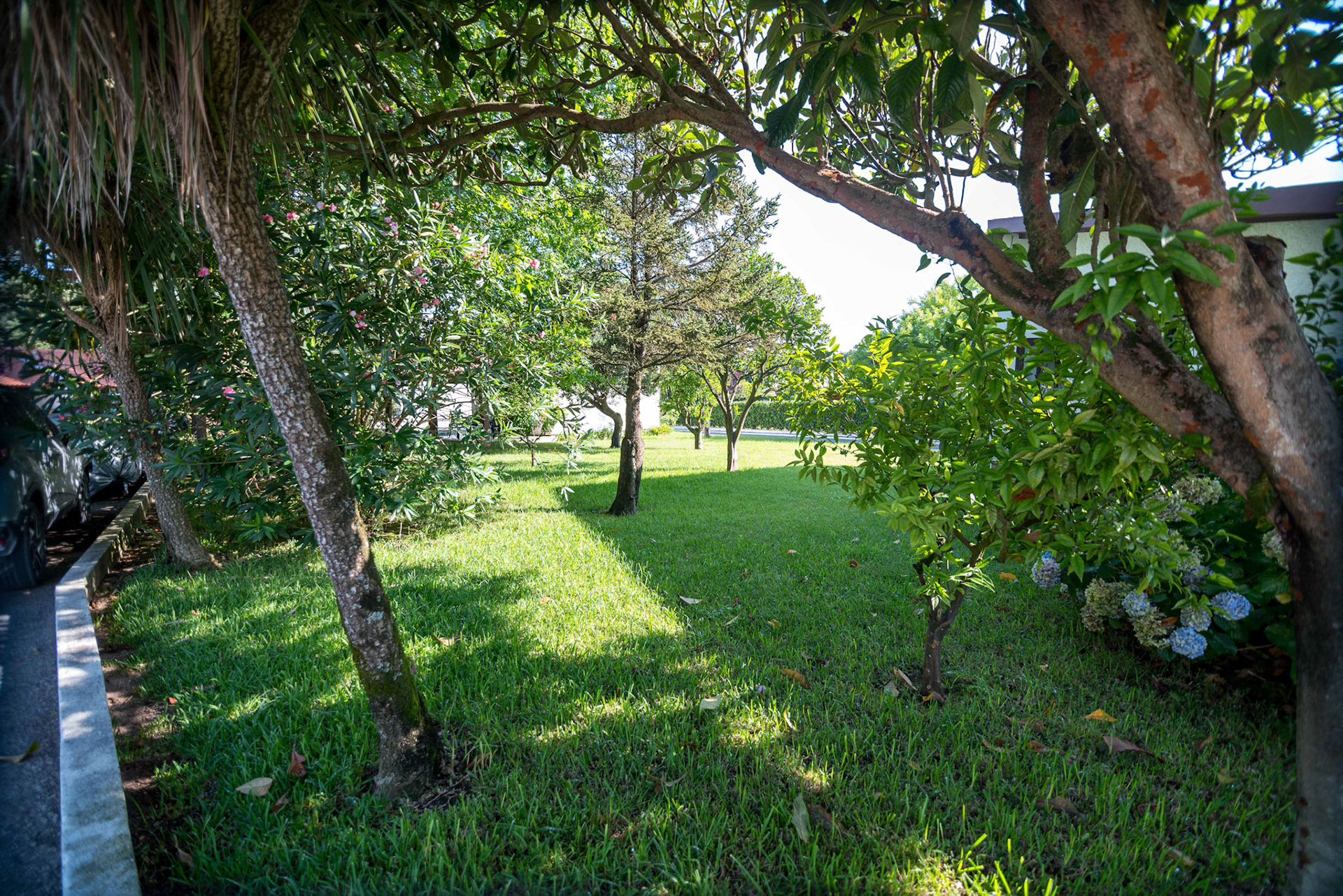 © Copyright uso não autorizado