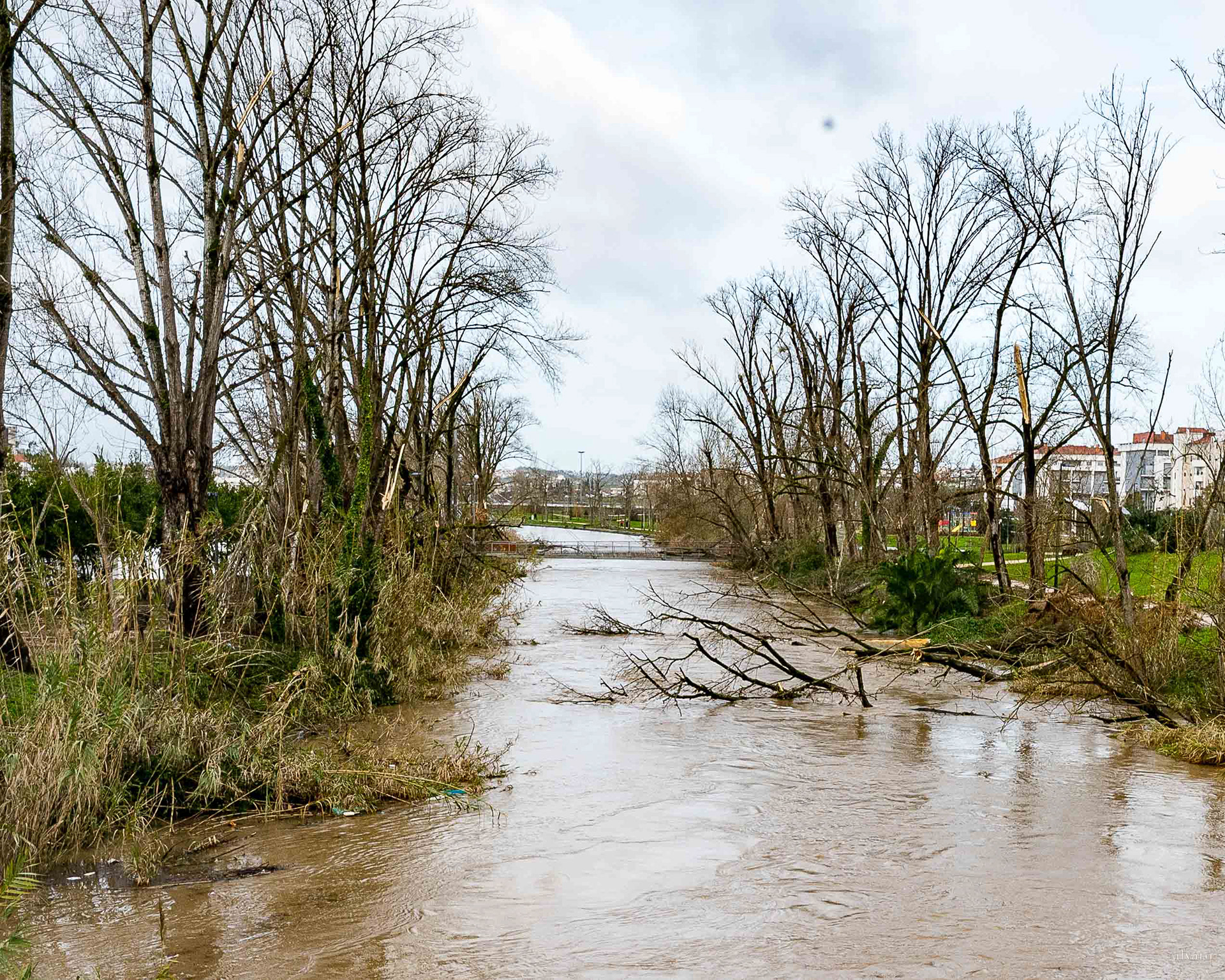 Dia 1 primeiras horas