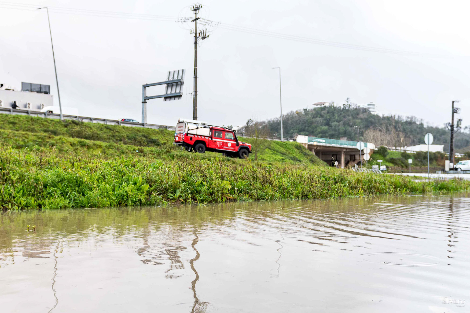 Depressão Leonardo dia 2