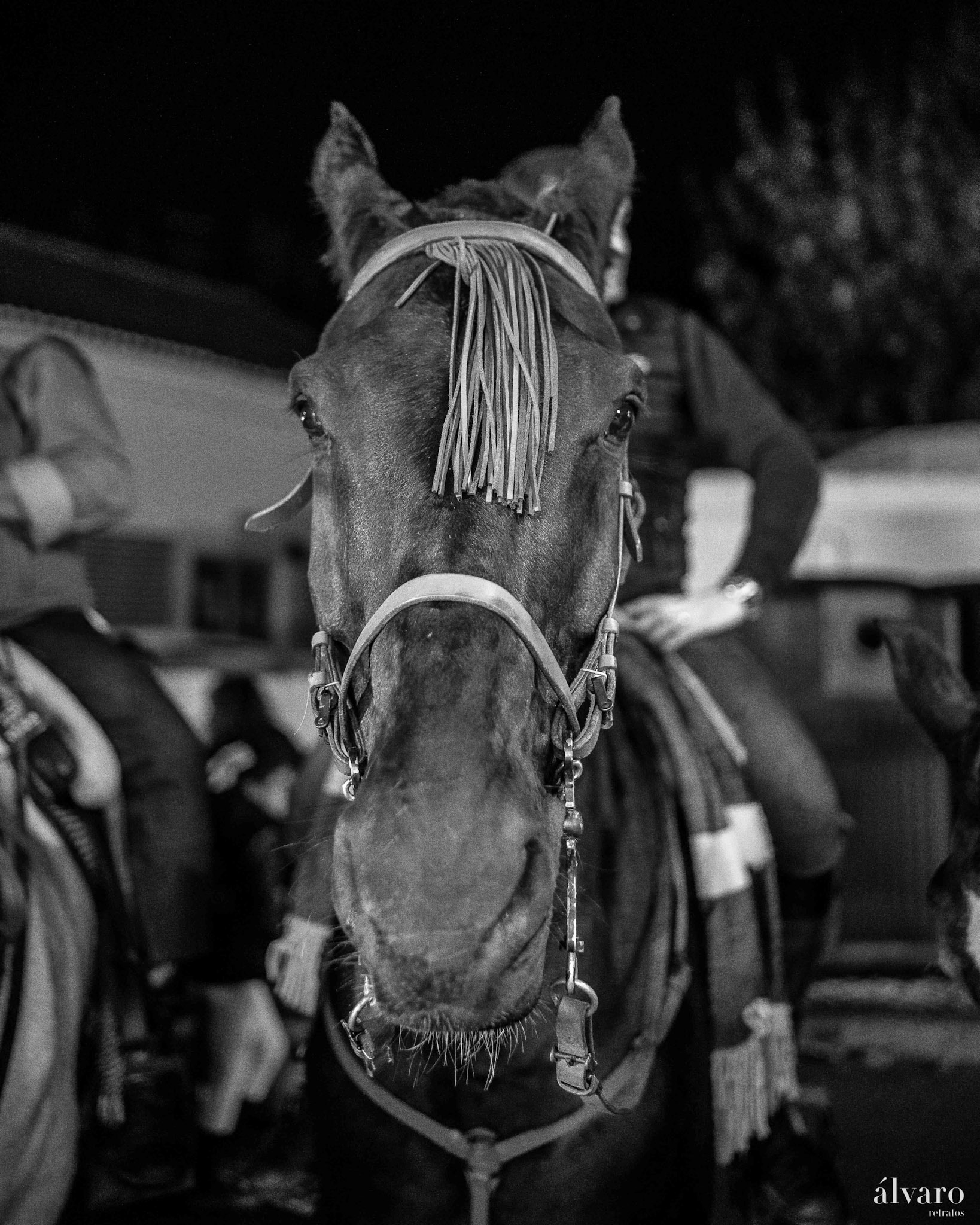 © Copyright uso não autorizado