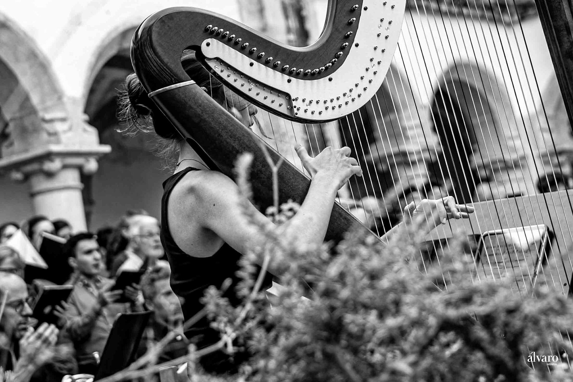 © Copyright uso não autorizado