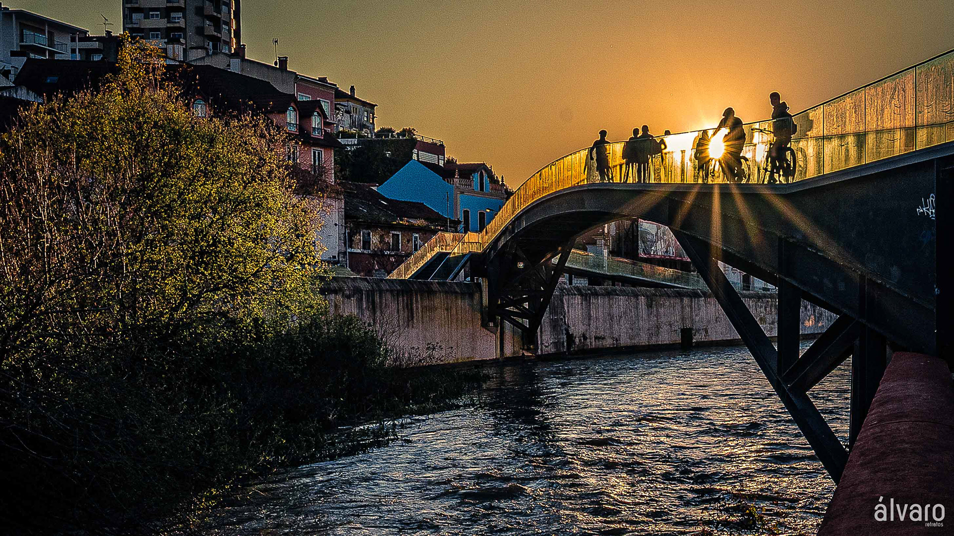 Ponte D. Dinis - Mar 2025