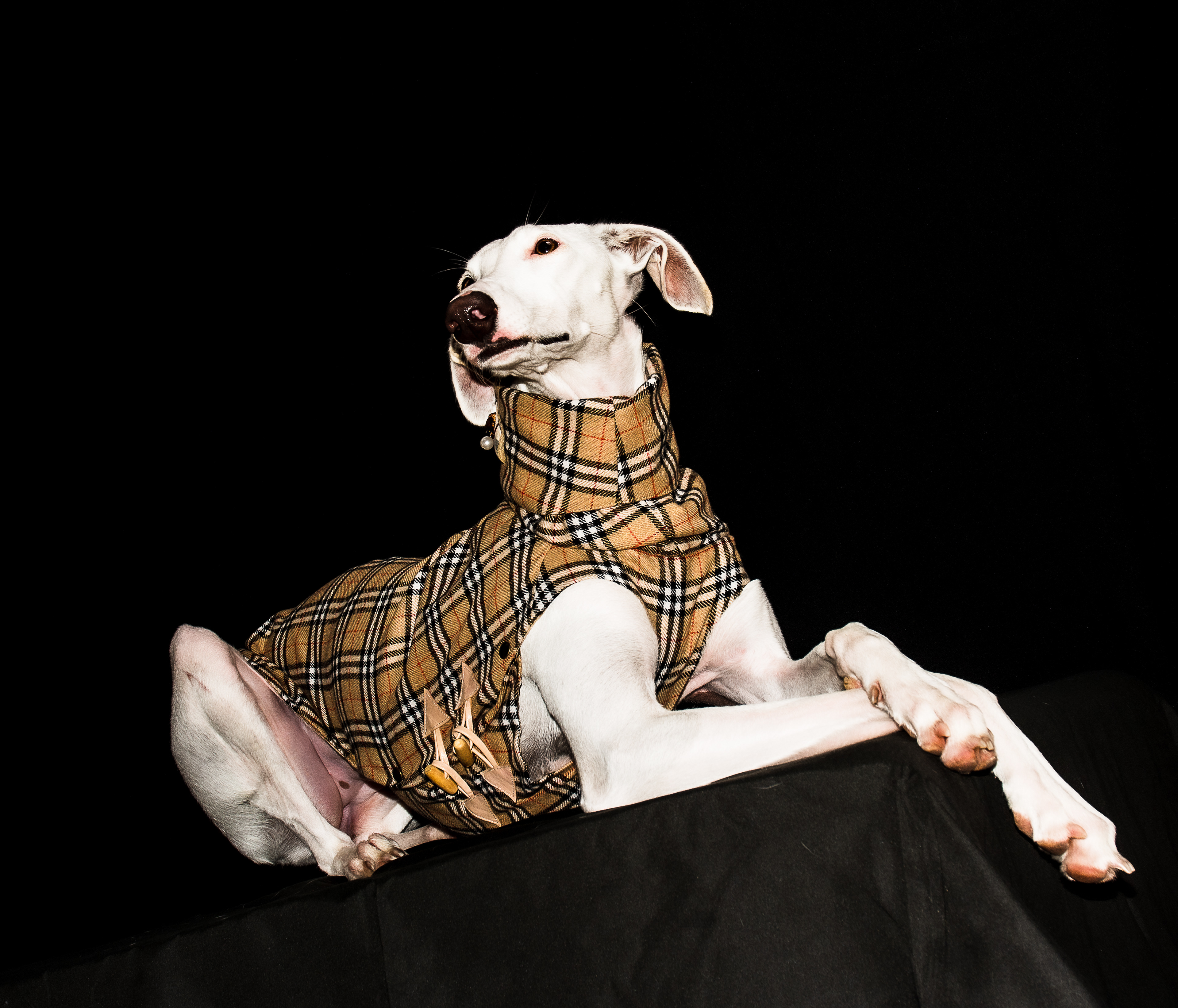 Burberry style