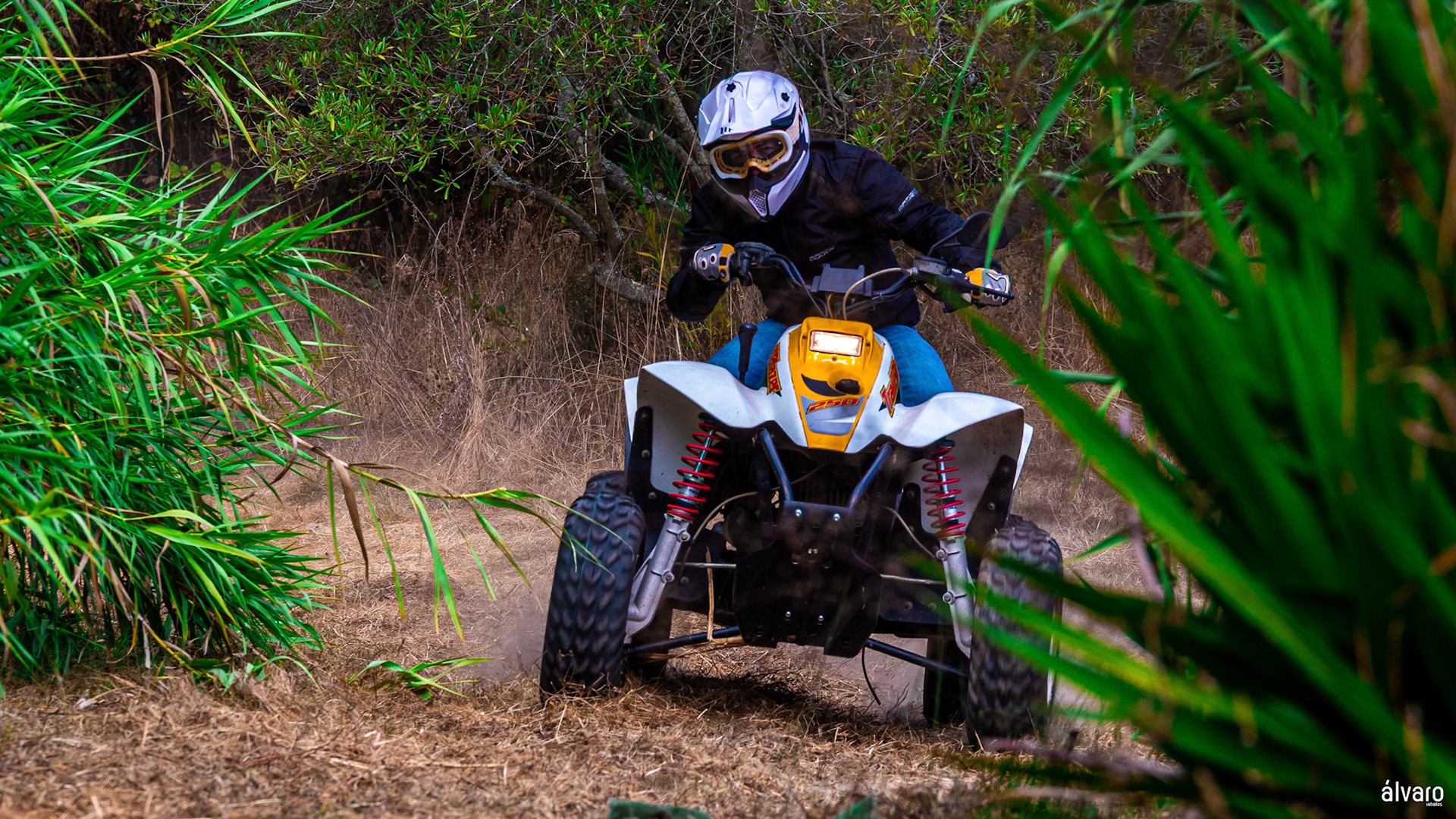 © Copyright uso não autorizado