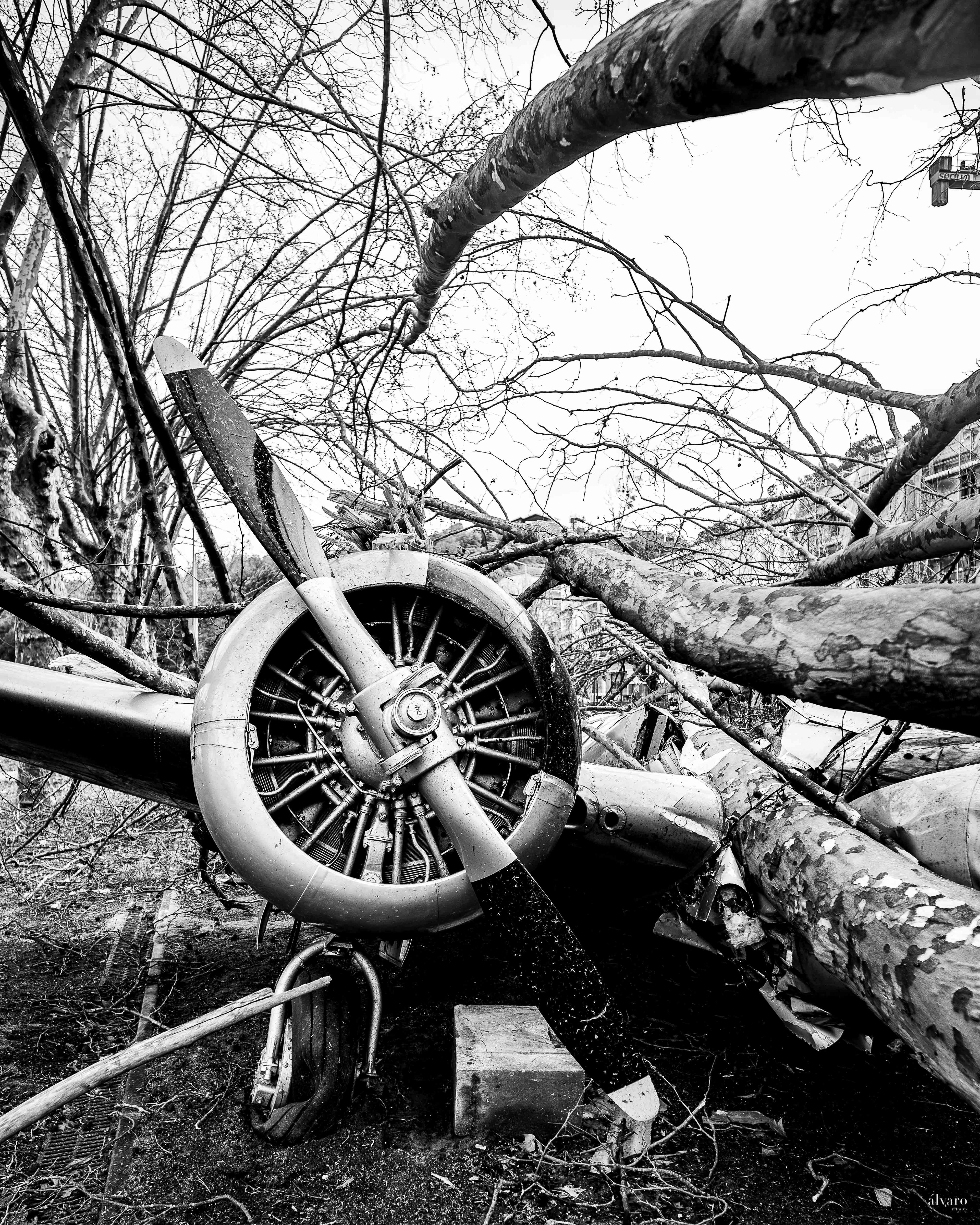 Dia 1 primeiras horas