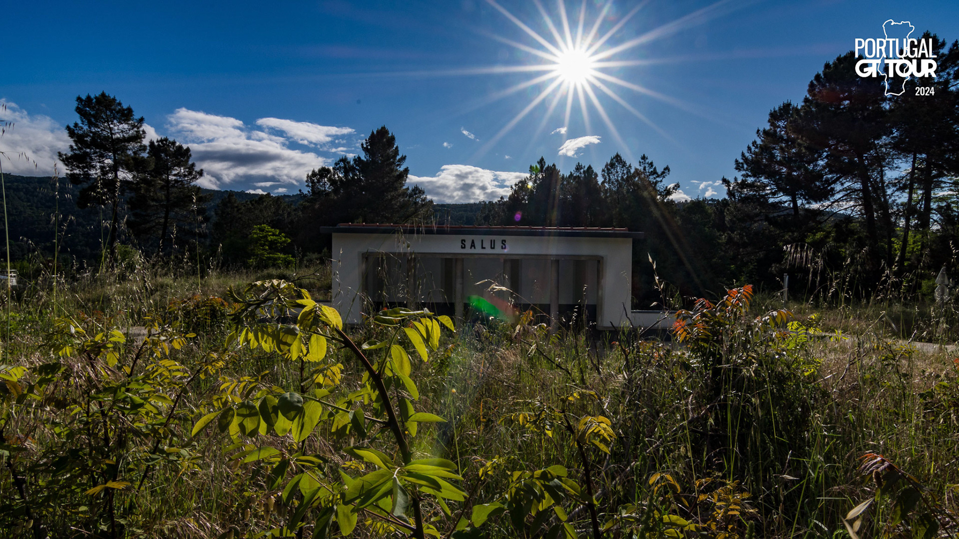 © Copyright uso não autorizado