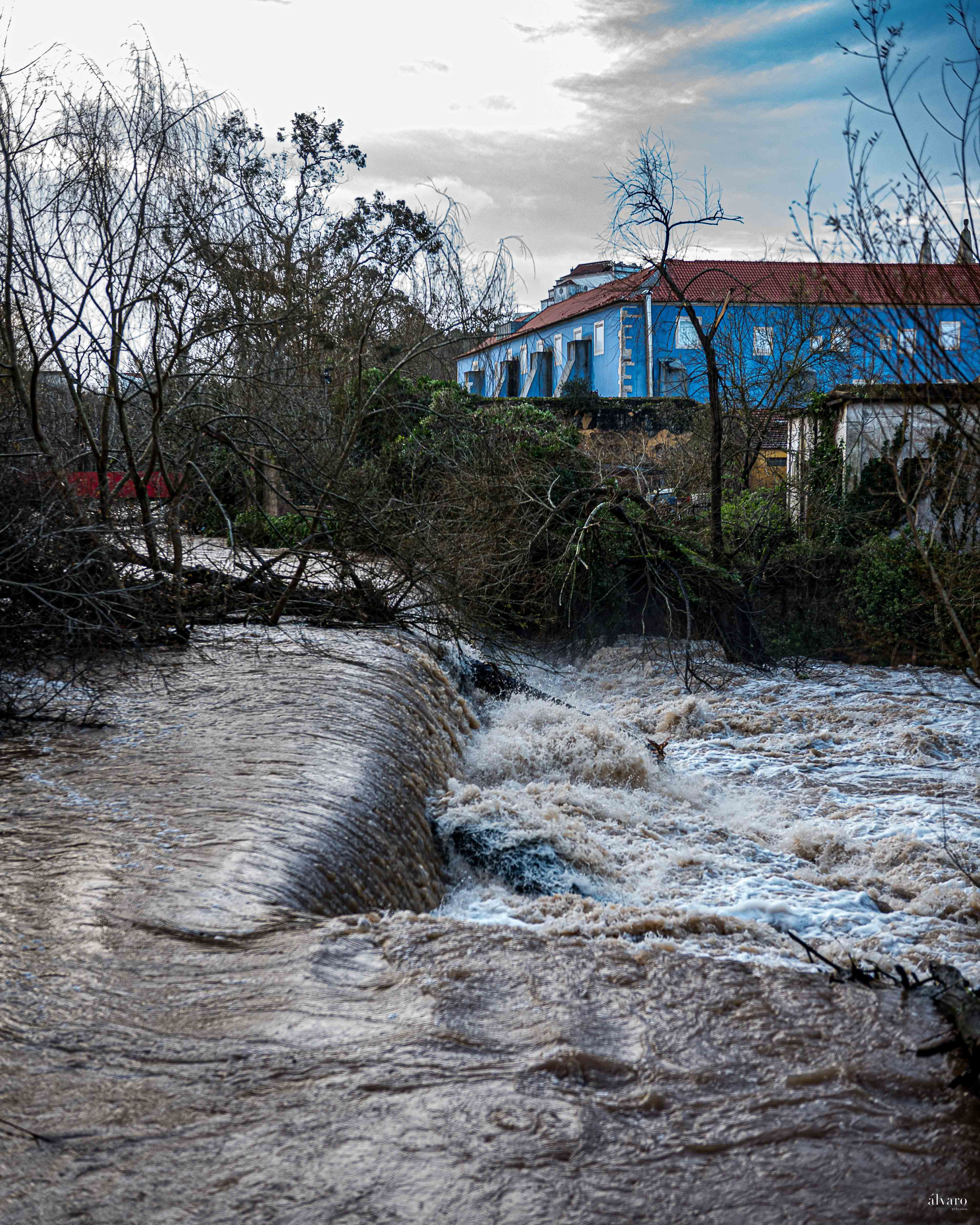 Dia 1 primeiras horas