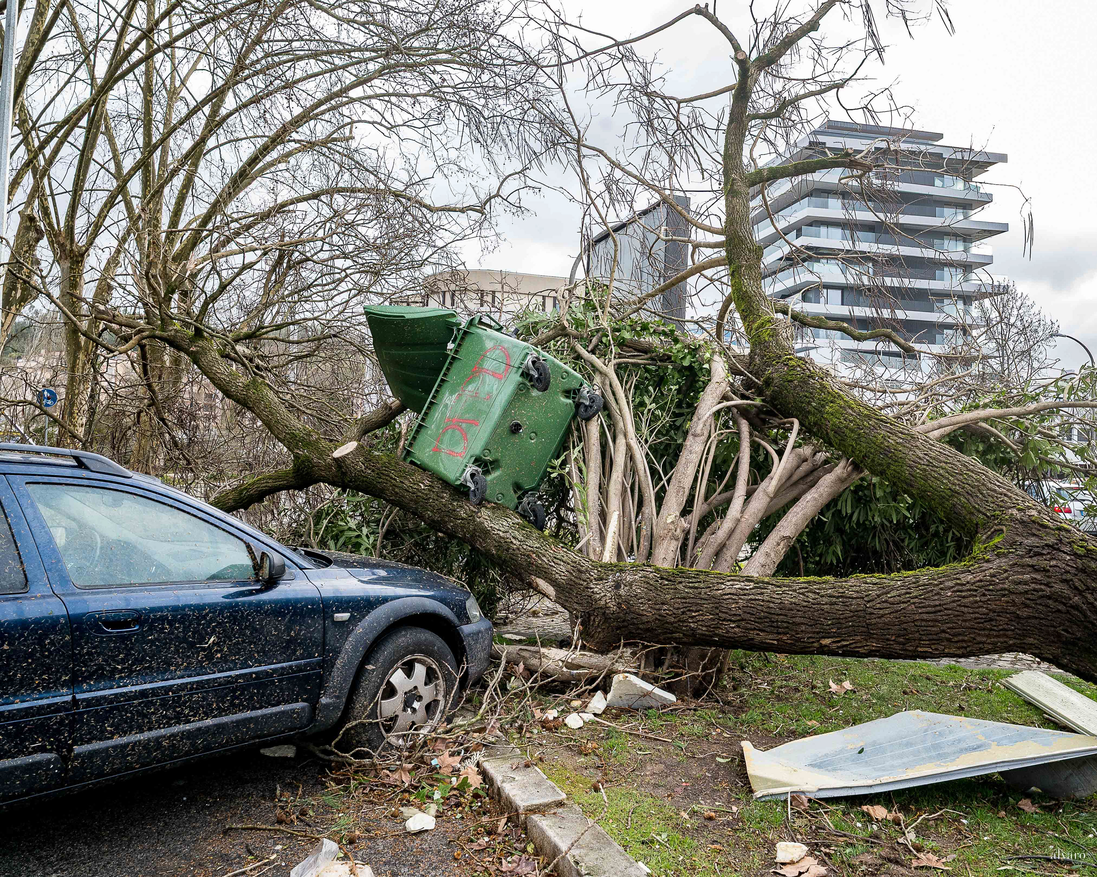 Dia 1 primeiras horas