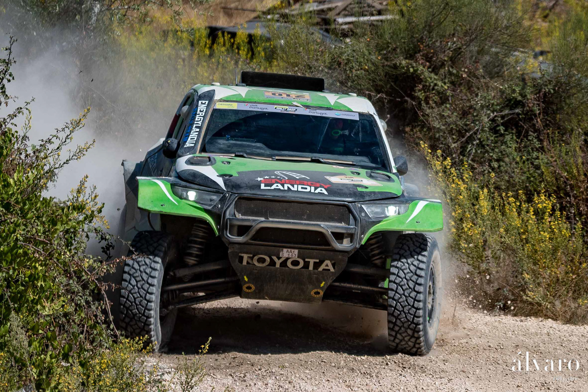 © Copyright uso não autorizado