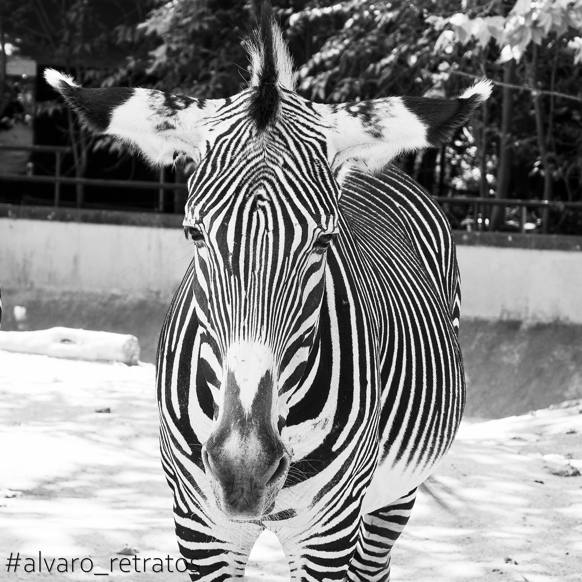 Zoo de Lisboa