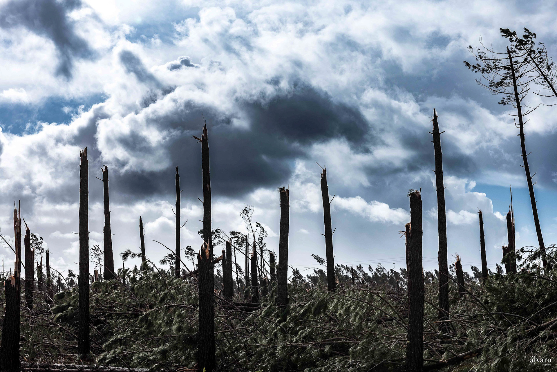 Kristin dia 6 - Marinha Grande