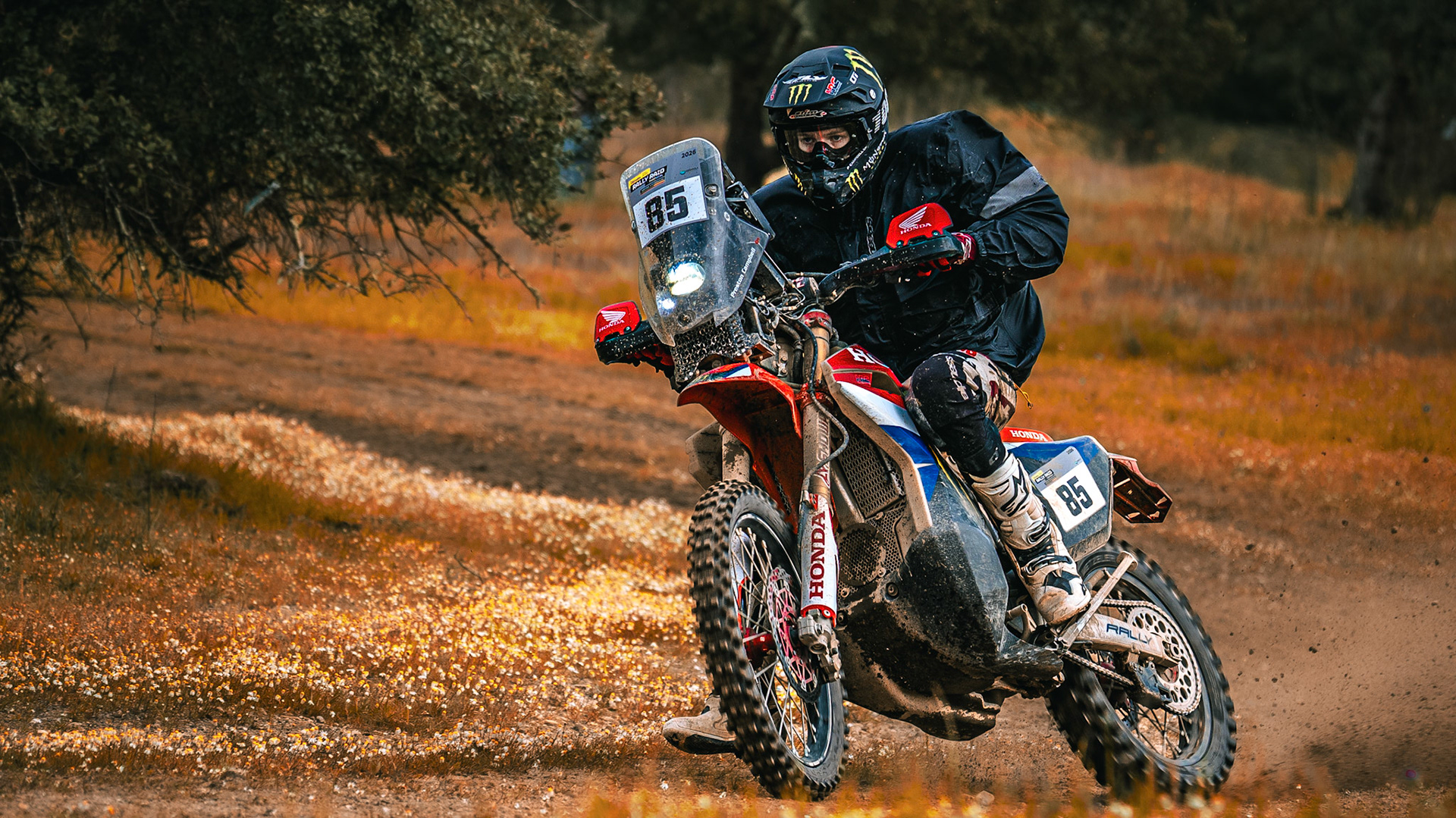 © Copyright uso não autorizado