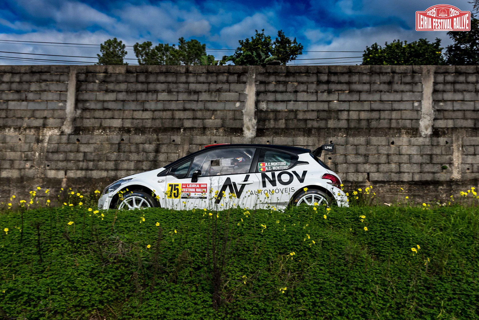 © Copyright uso não autorizado