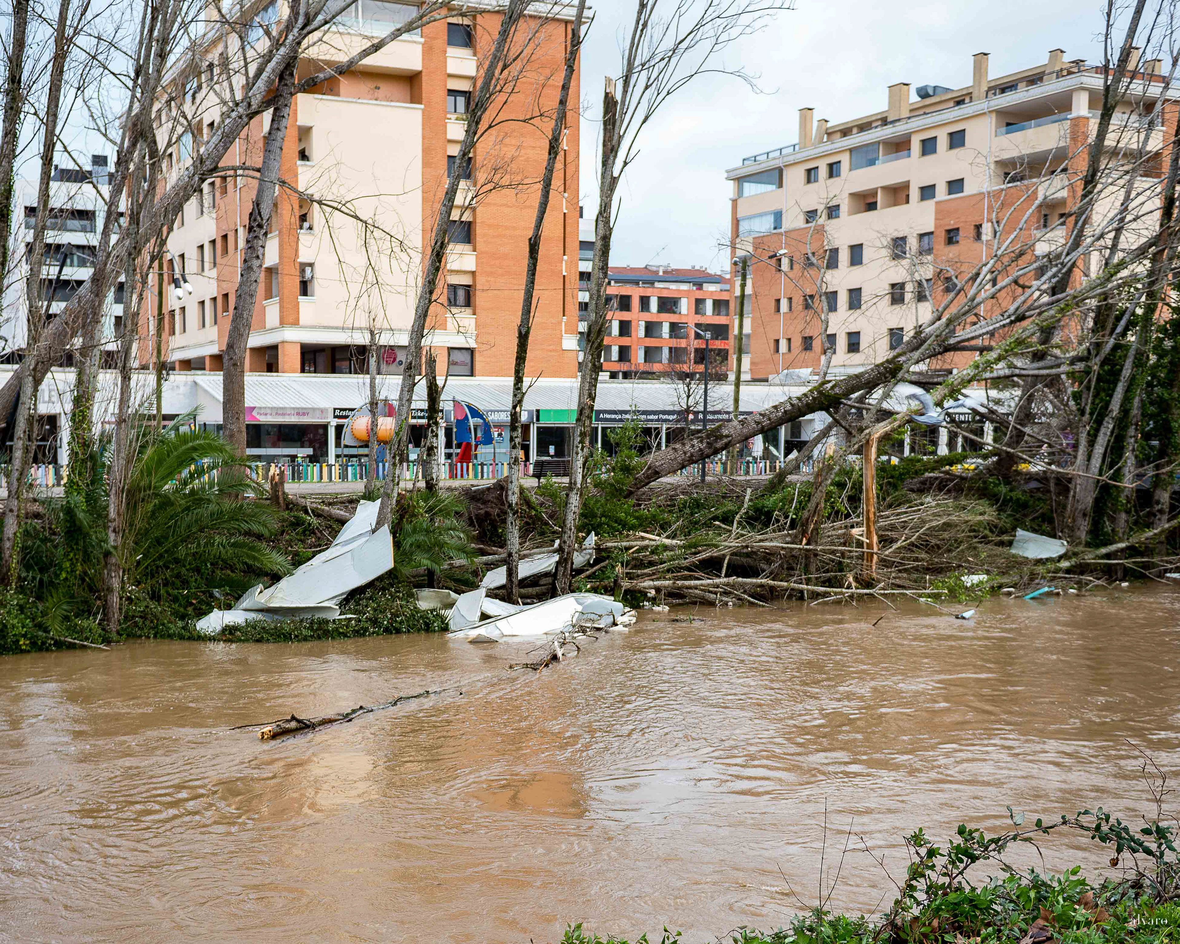 Dia 1 primeiras horas