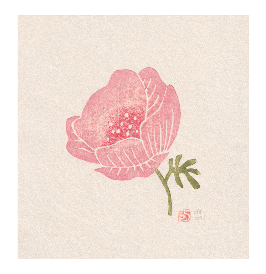 Mariko Jesse X Pink anemone 2021 11.5" x 14" Mokuhanga