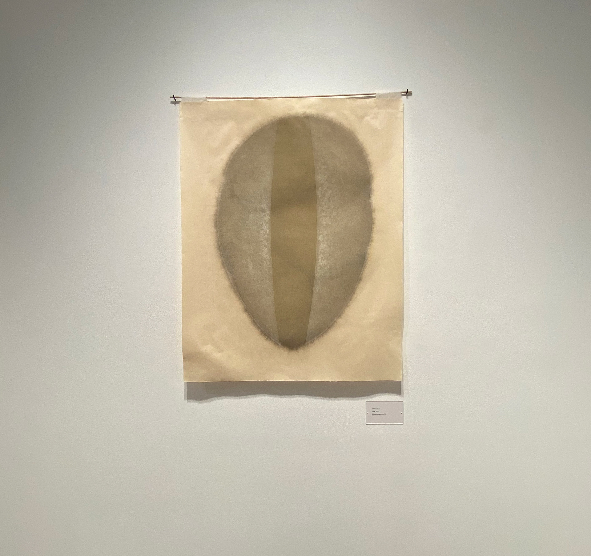 Chihiro Taki, Lost, 2011