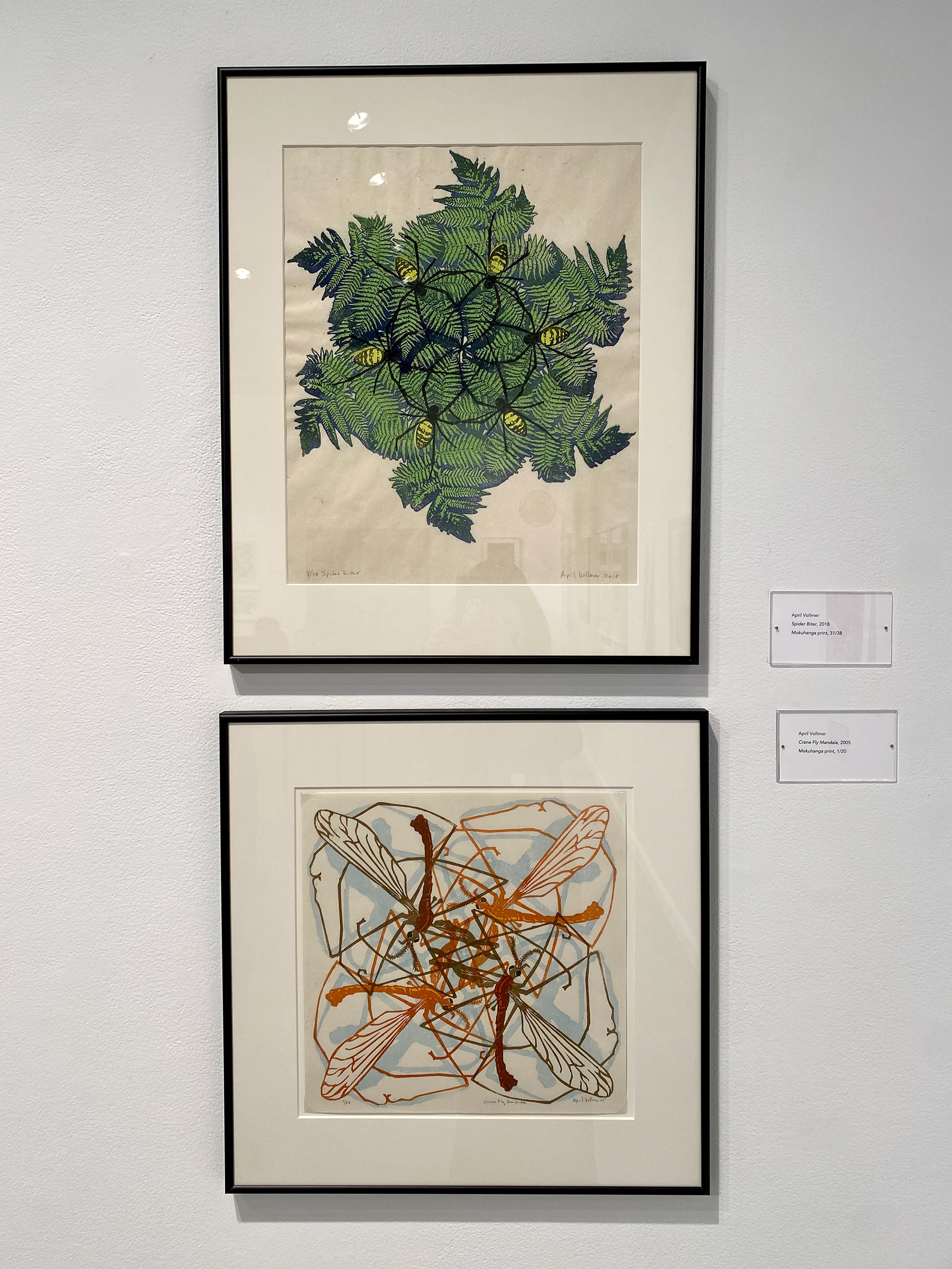 April, Vollmer, Spider April Voller, Crane Fly,  and Biter Spider