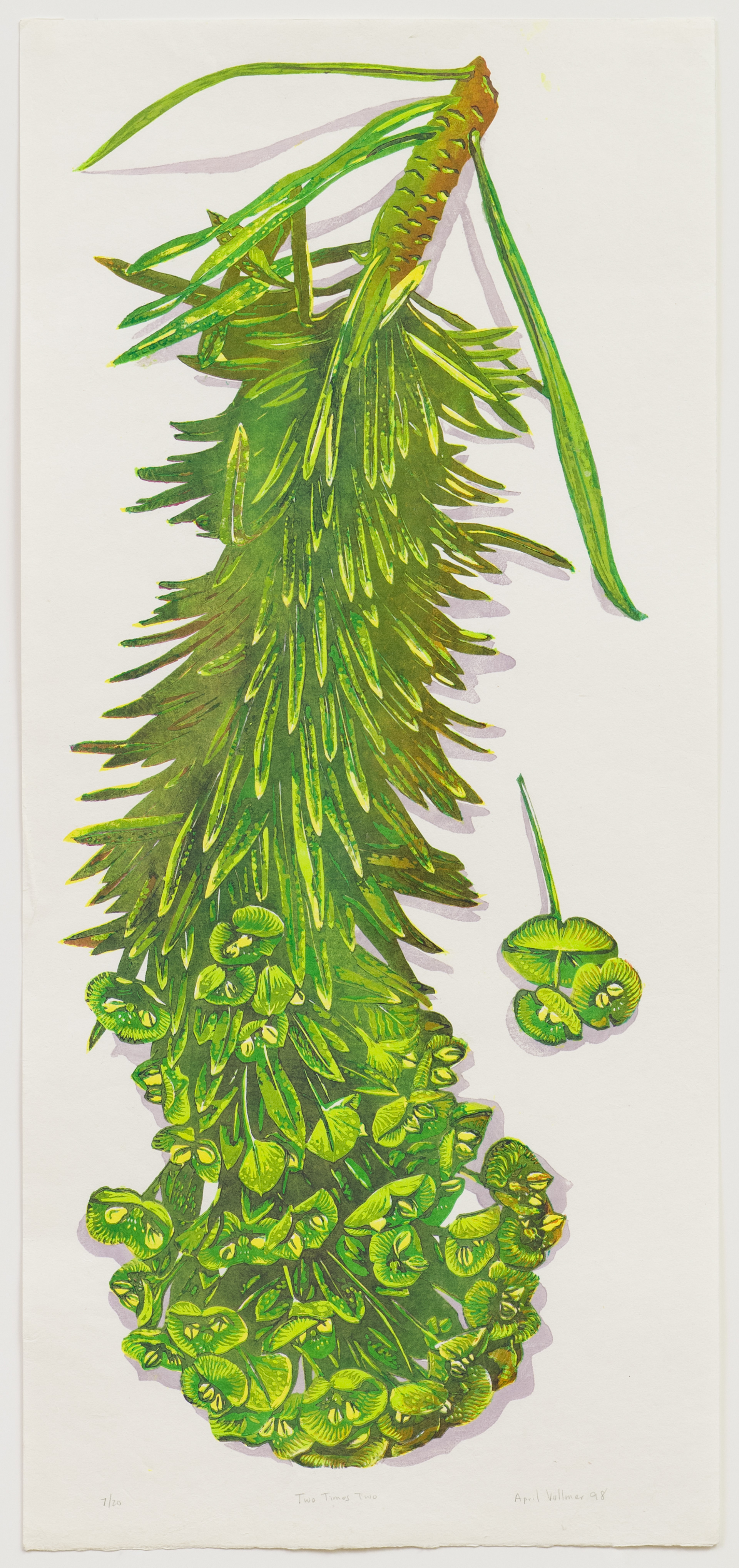 Two Times Two, 1997, 17 x 37", Mokuhanga