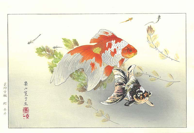 Kyoko Hirai, Medaka and Goldfish, Kingyo ni Medaka, artist:  Rakusan Tsuchiya（1896-1976) reprint by Kyoko Hirai in 2019