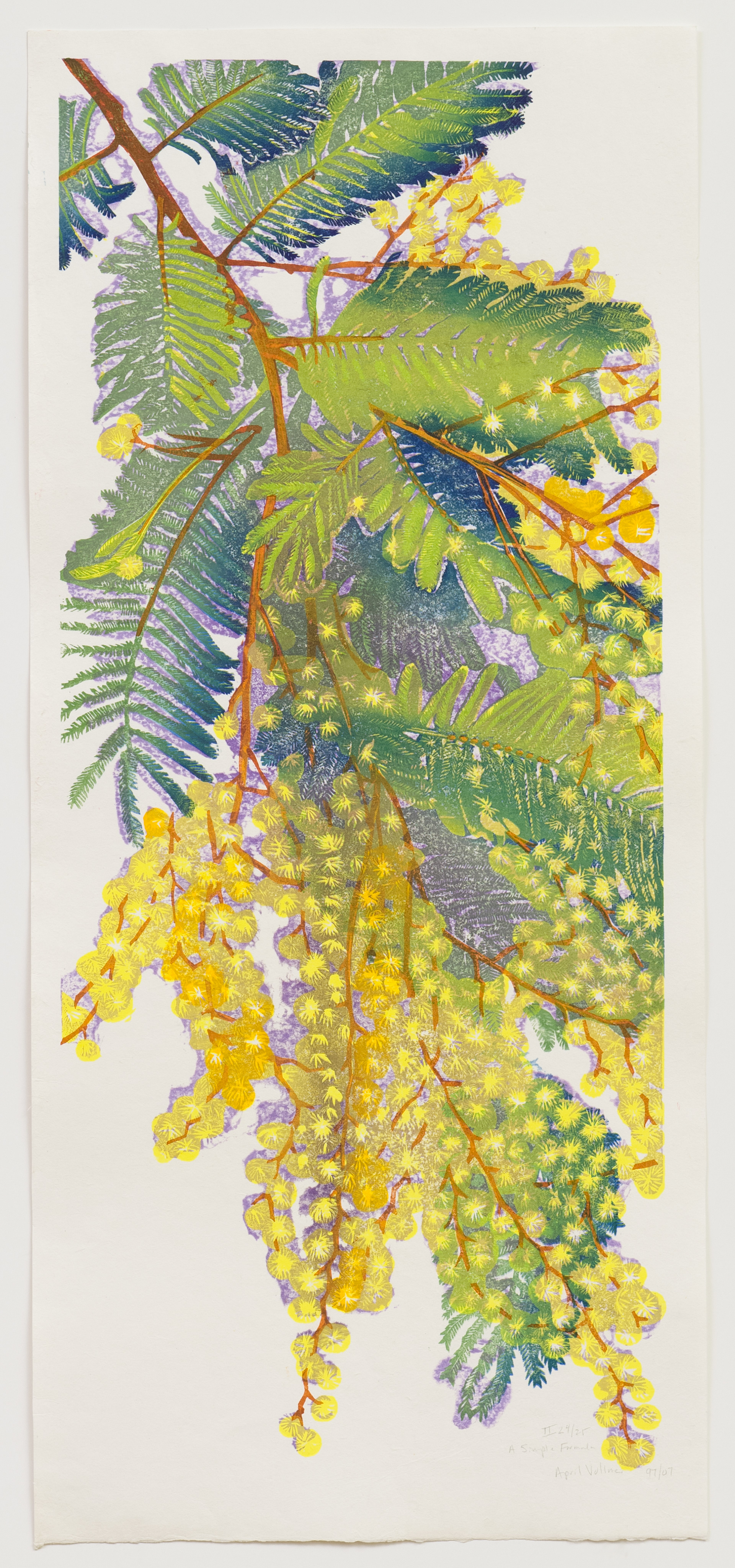 April Vollmer, A Simple Formula, 17" x 37", mokuhanga, 1997