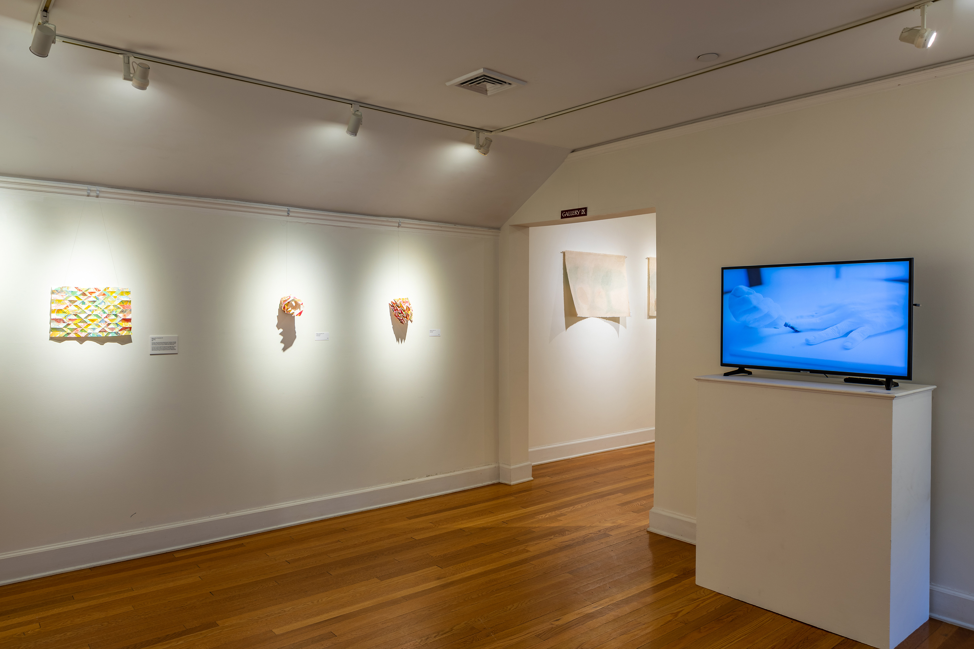 Louise Rouse Installation View