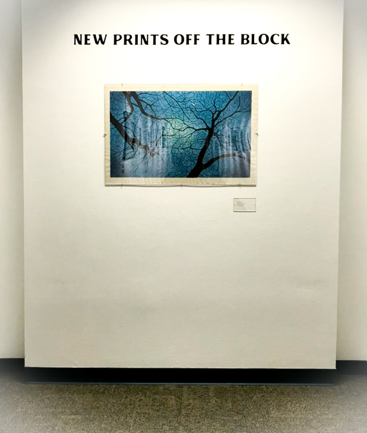 Mara Cozzolino, Heaven and Earth, 2021