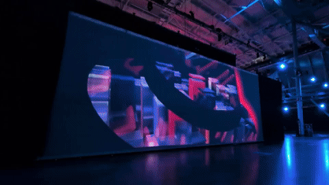 Video courtesy of BIEN (by Deana Reilly)